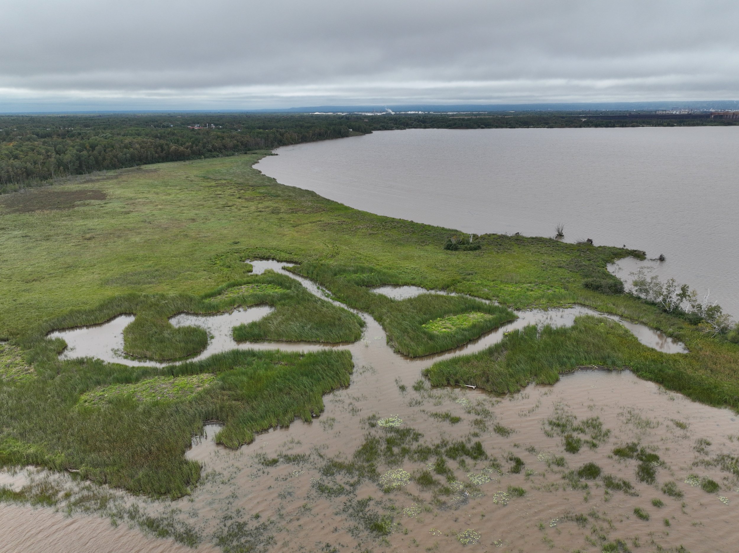 Allouez Bay Marsh Bird Habitat Restoration (Phase 1): 2025 Field Season ...