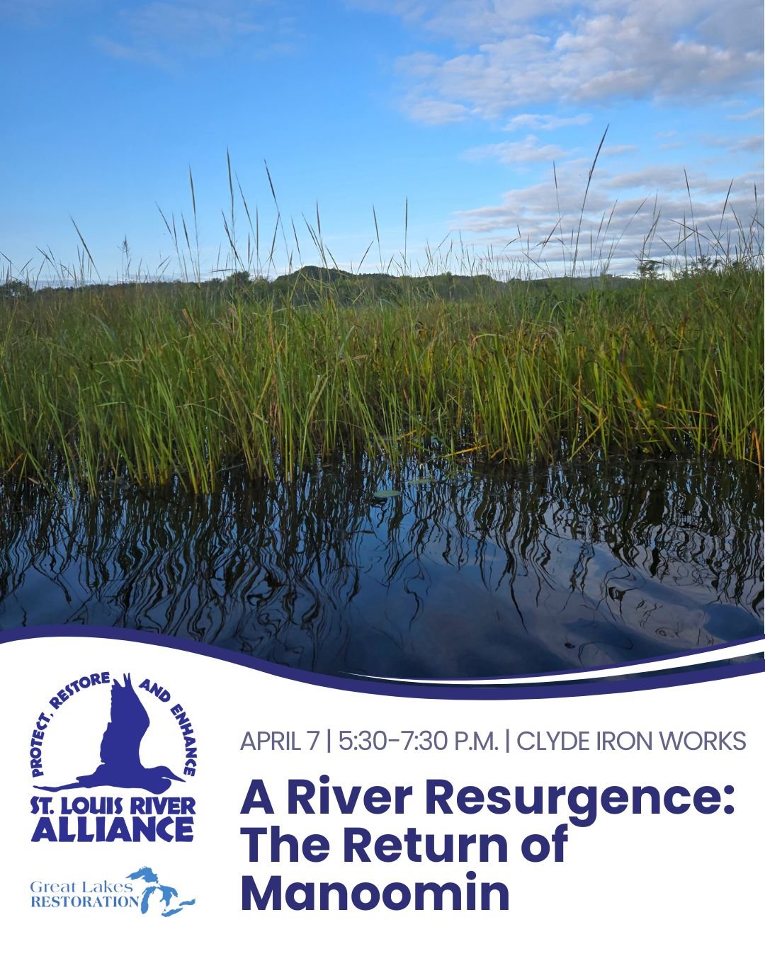 Manoomin (wild rice) is returning to the estuary&mdash;and that&rsquo;s worth celebrating!

Join us for a free community event on April 7 from 5:30&ndash;7:30 p.m. at Clyde Iron Works to discover why manoomin is vital to the health of the river, what