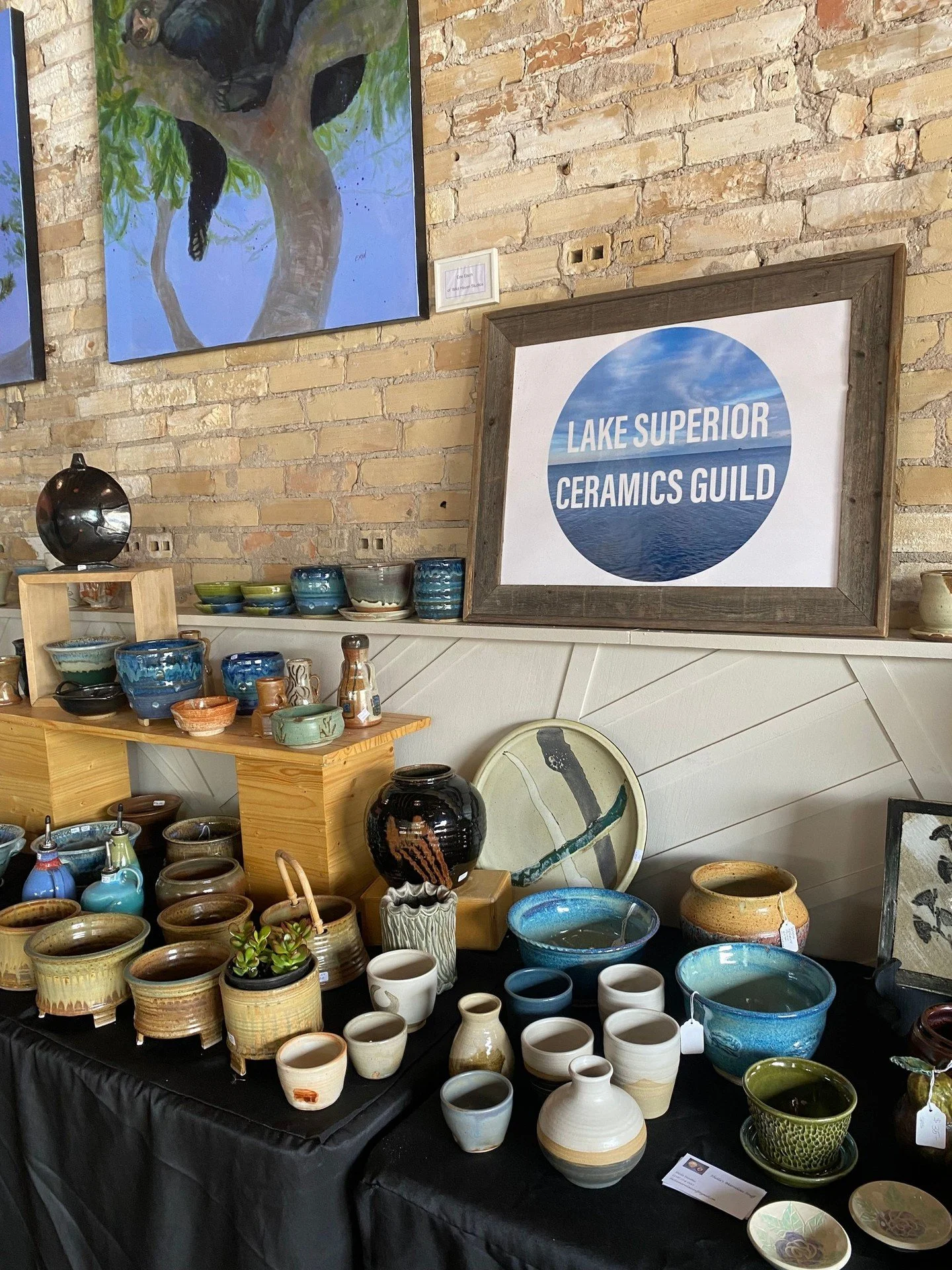 Thank you to the Lake Superior Ceramics Guild for supporting the St. Louis River Alliance! They graciously donated their ceramic sales from their event on Saturday 5/30, and also allowed us the opportuity to set up a table at Ursa Minor and talk abou