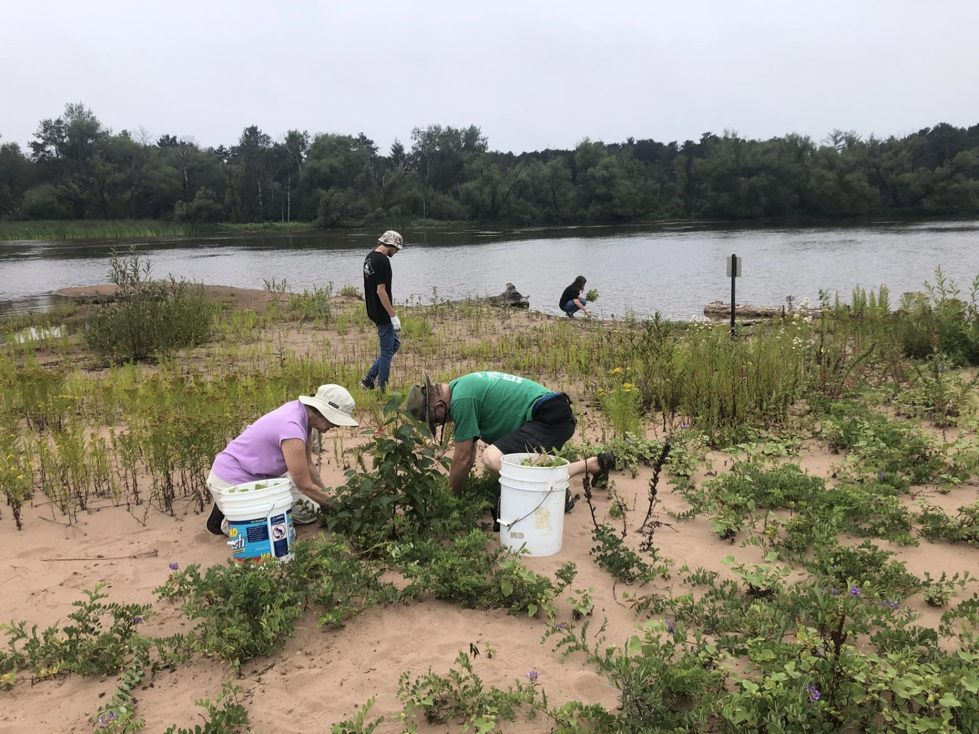 Volunteer Day @ Piping Plover Habitat (Day One)