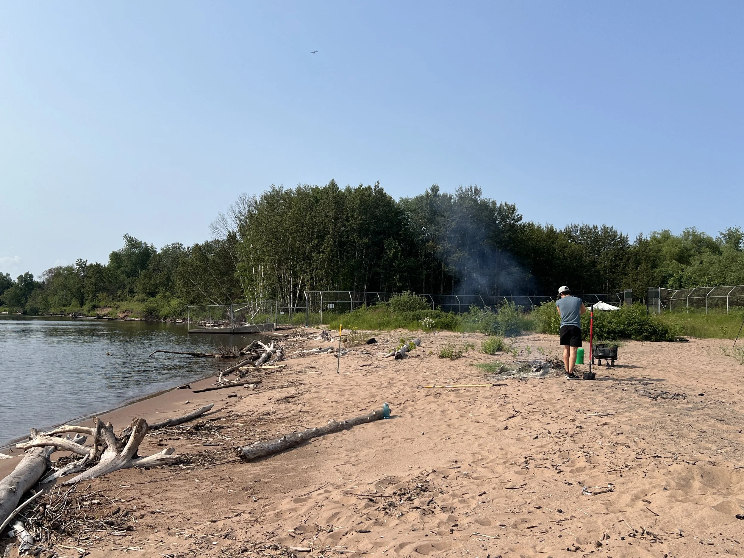 Volunteer Day @ Piping Plover Site: Woody Debris (Final Date in Series)