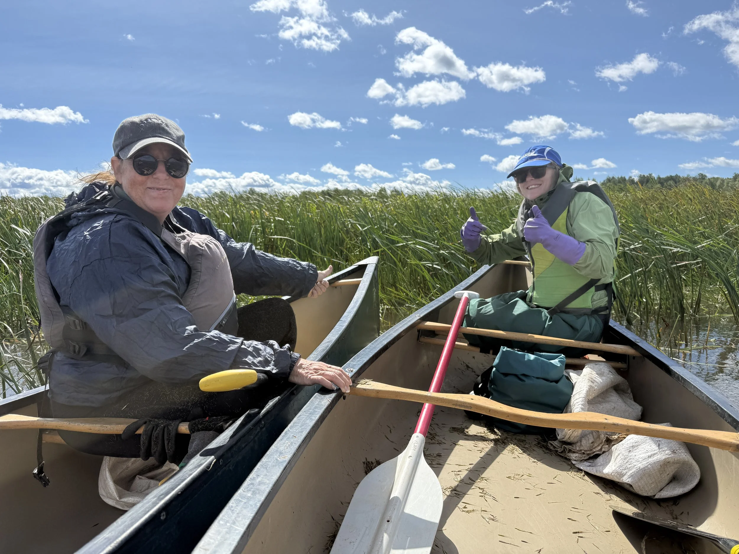 Wildrice_Allouez_9.9.26_KS_8.jpg