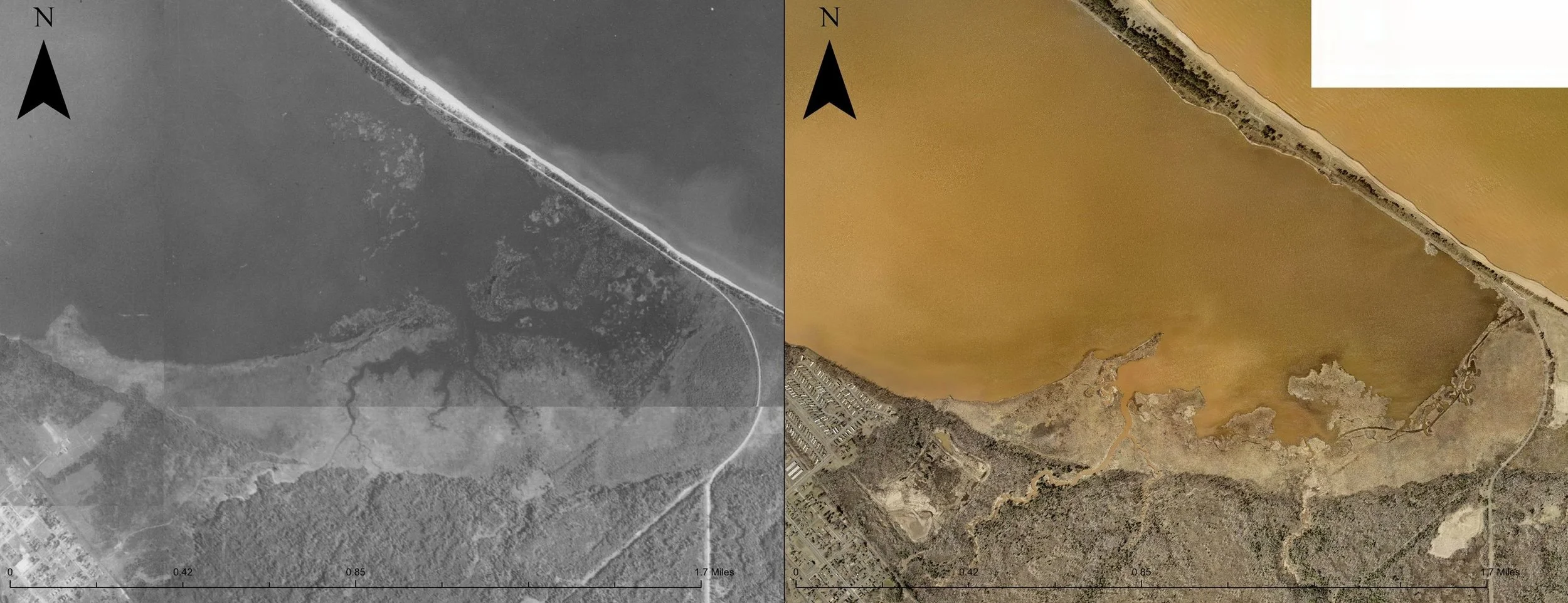 Restoring Wetland Habitat in Allouez Bay: Phase 2 Restoration Update