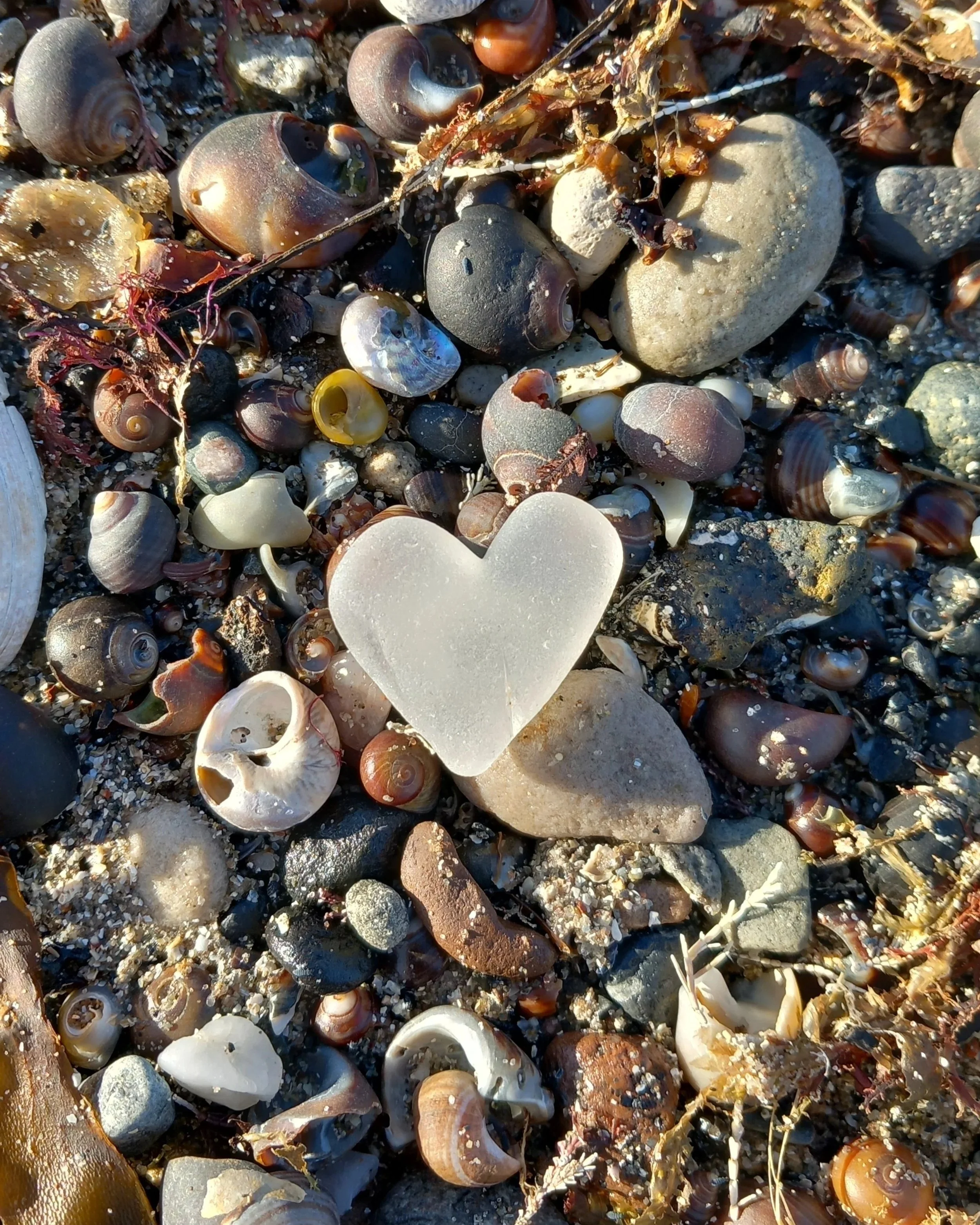 beach combing on a wee trip to Arran, Feb 2025