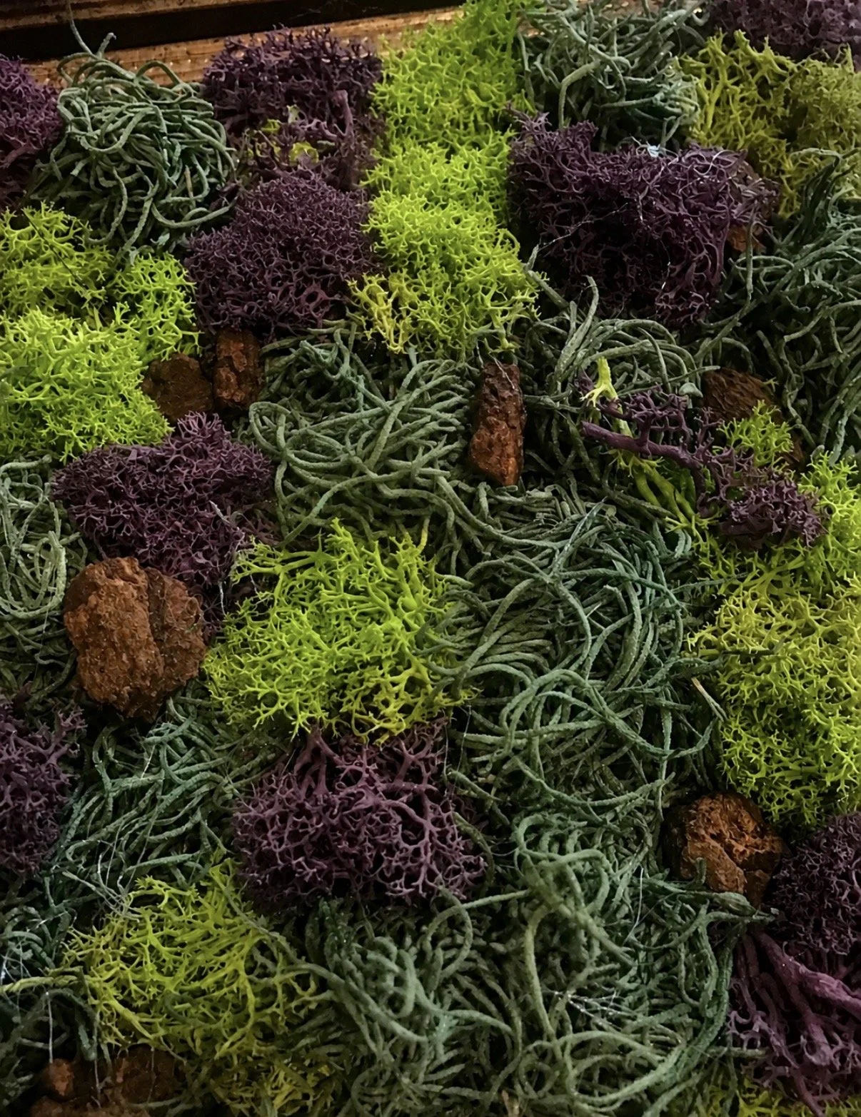 Create Your Own Moss Wall Workshop