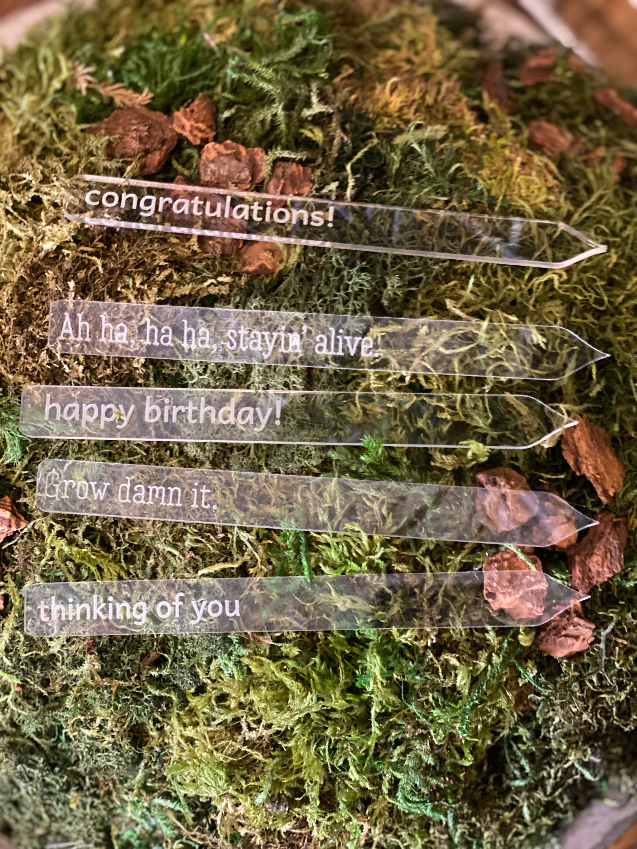 Plant Decor Insert