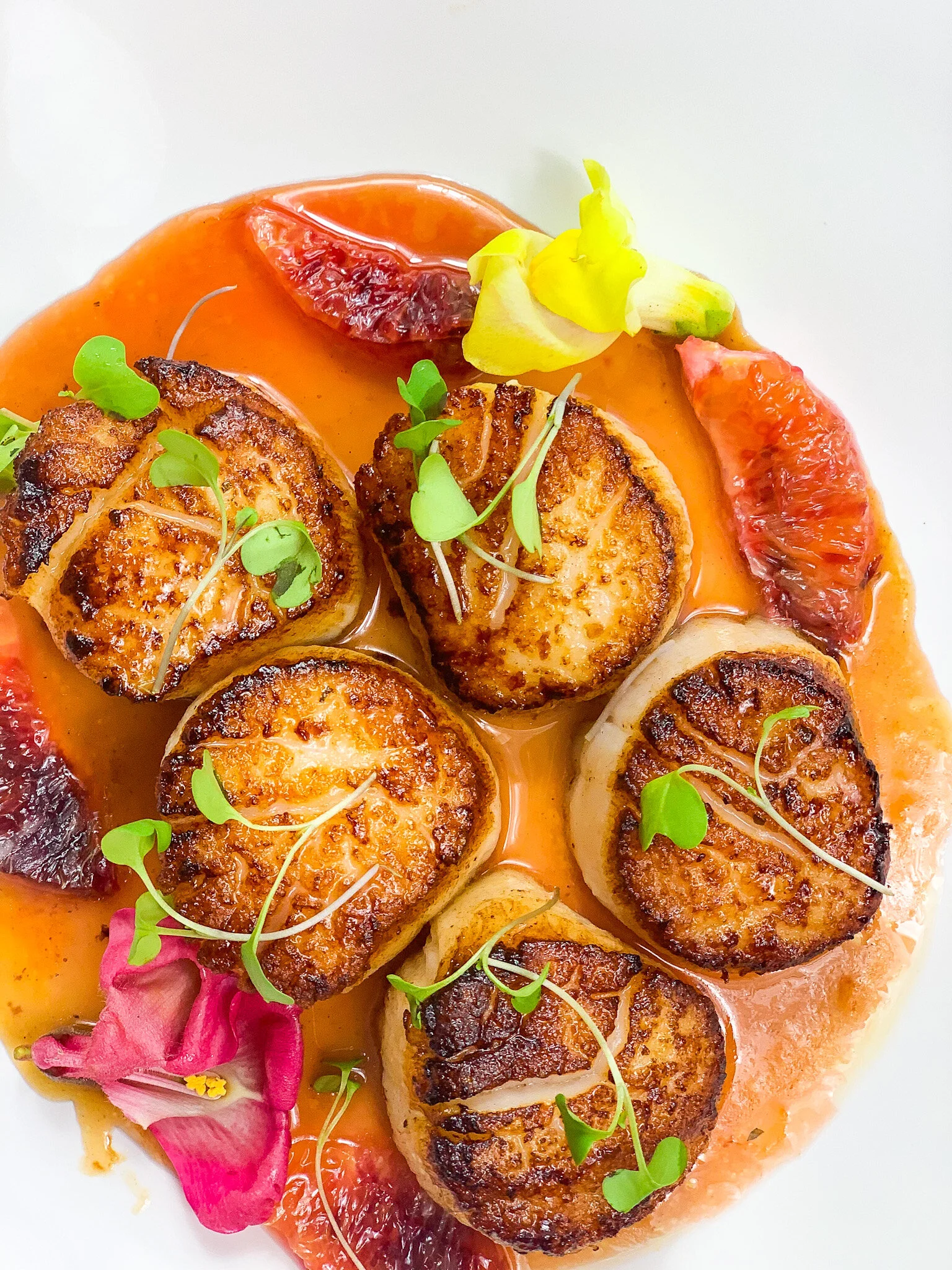 Sea Scallops.JPG