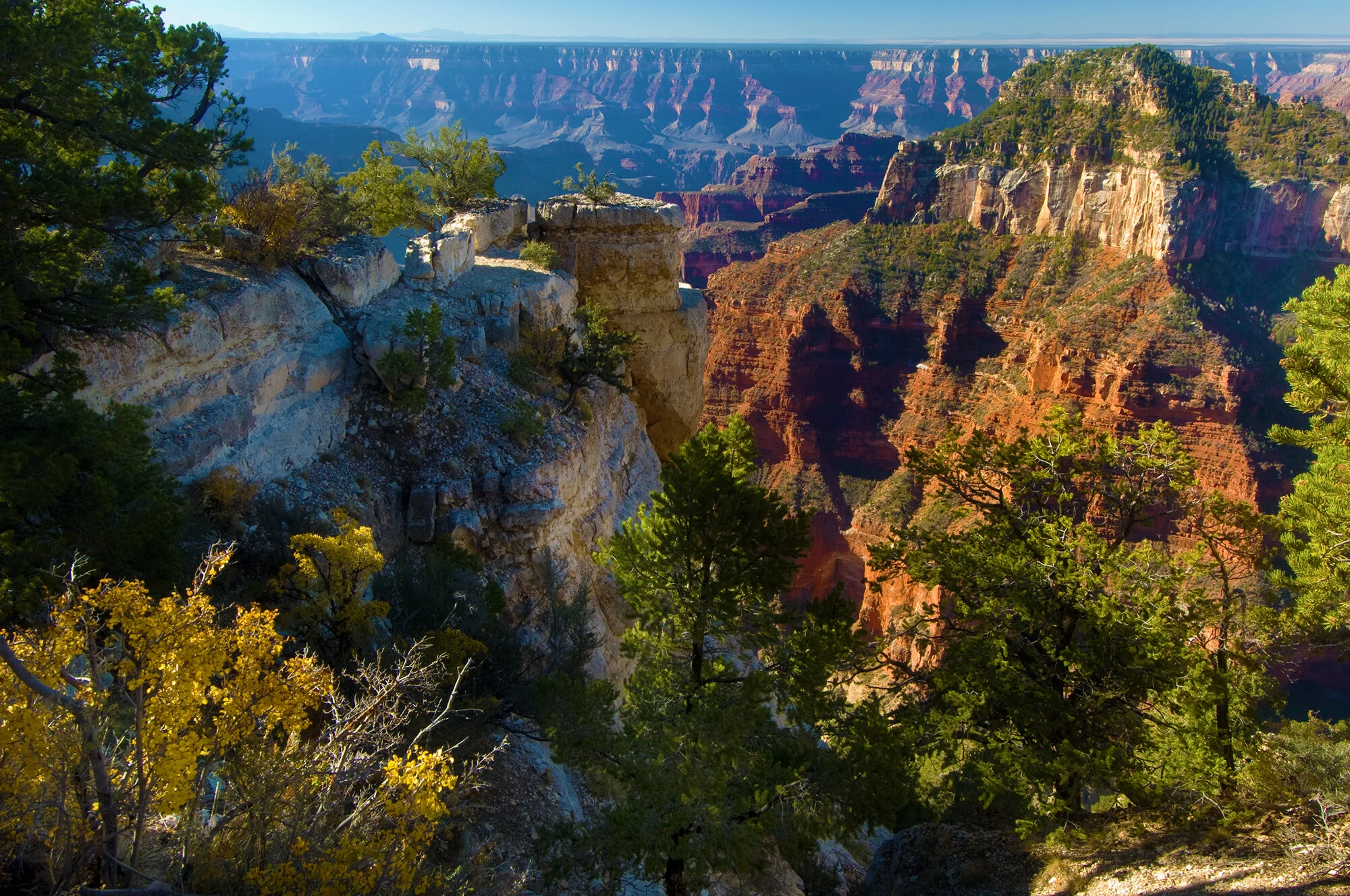 Autumn Grand Canyon