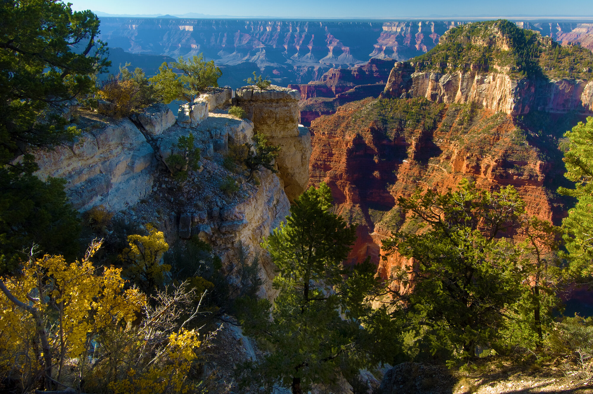 AutumnGrandCanyon2.jpg