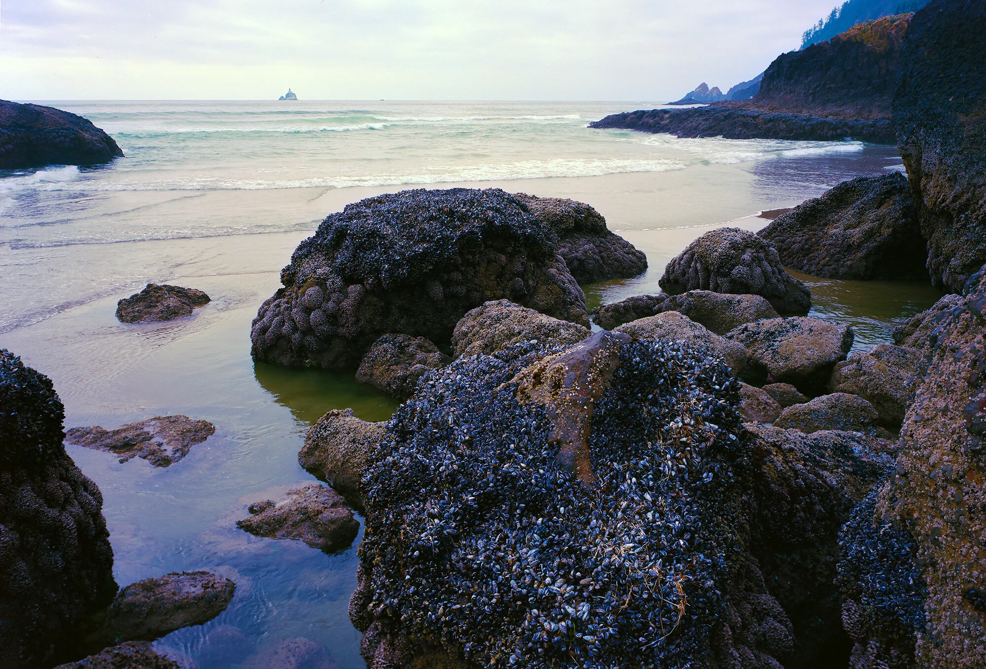 Indian Beach