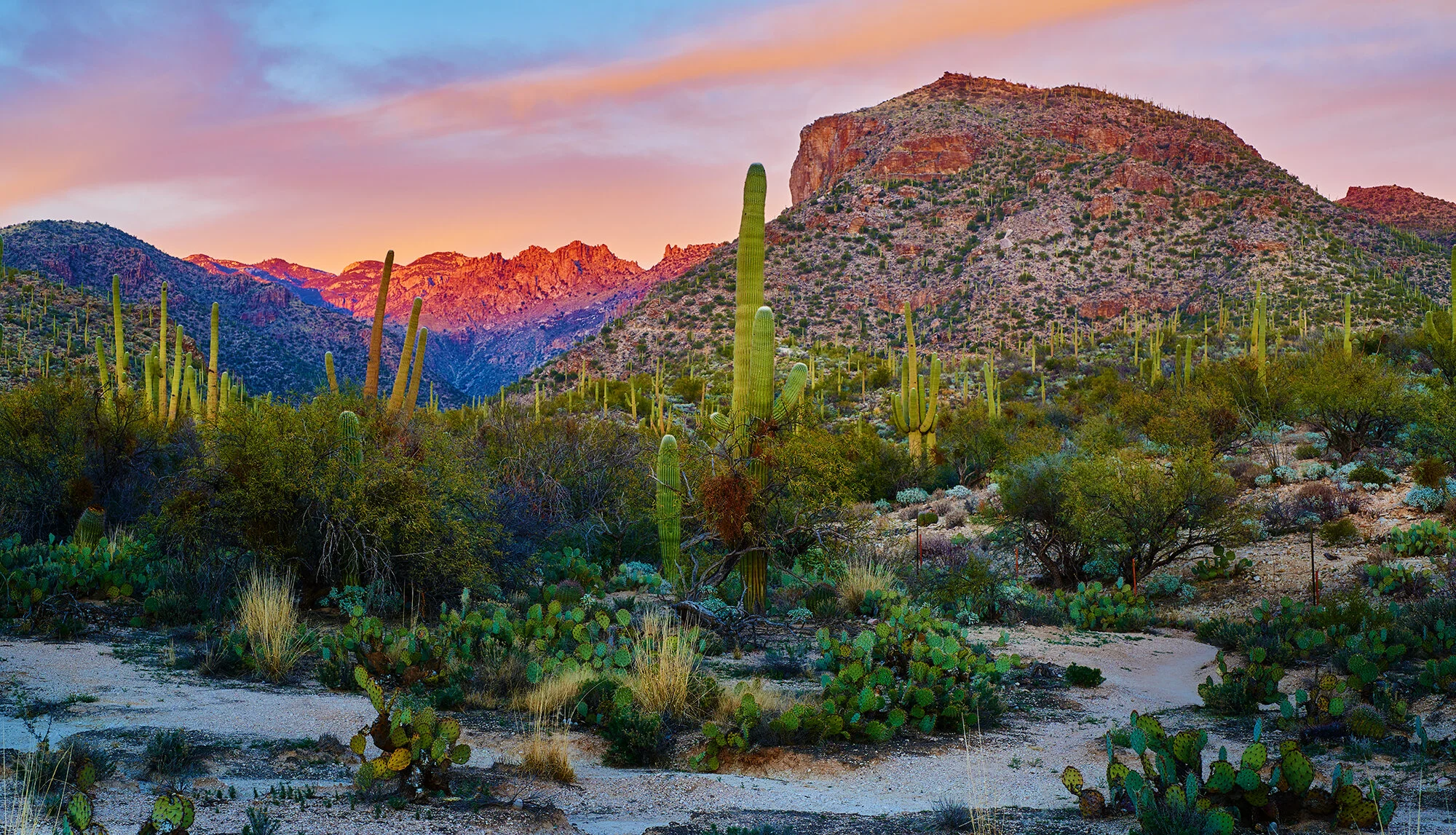 _DSC0200 Evening in Sabino CanyonJan 29 2016.jpg