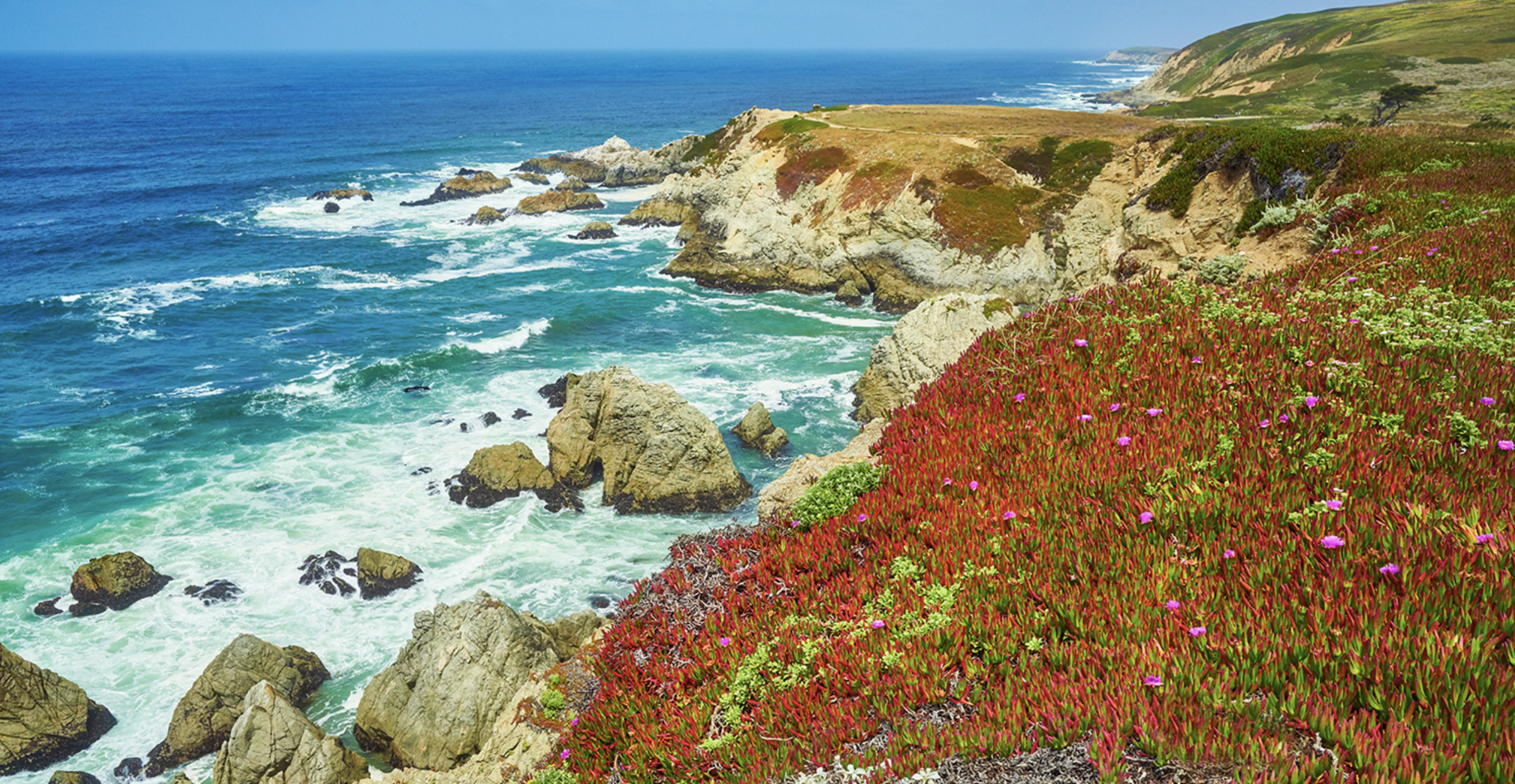 California Coast, Bodega Headlands
