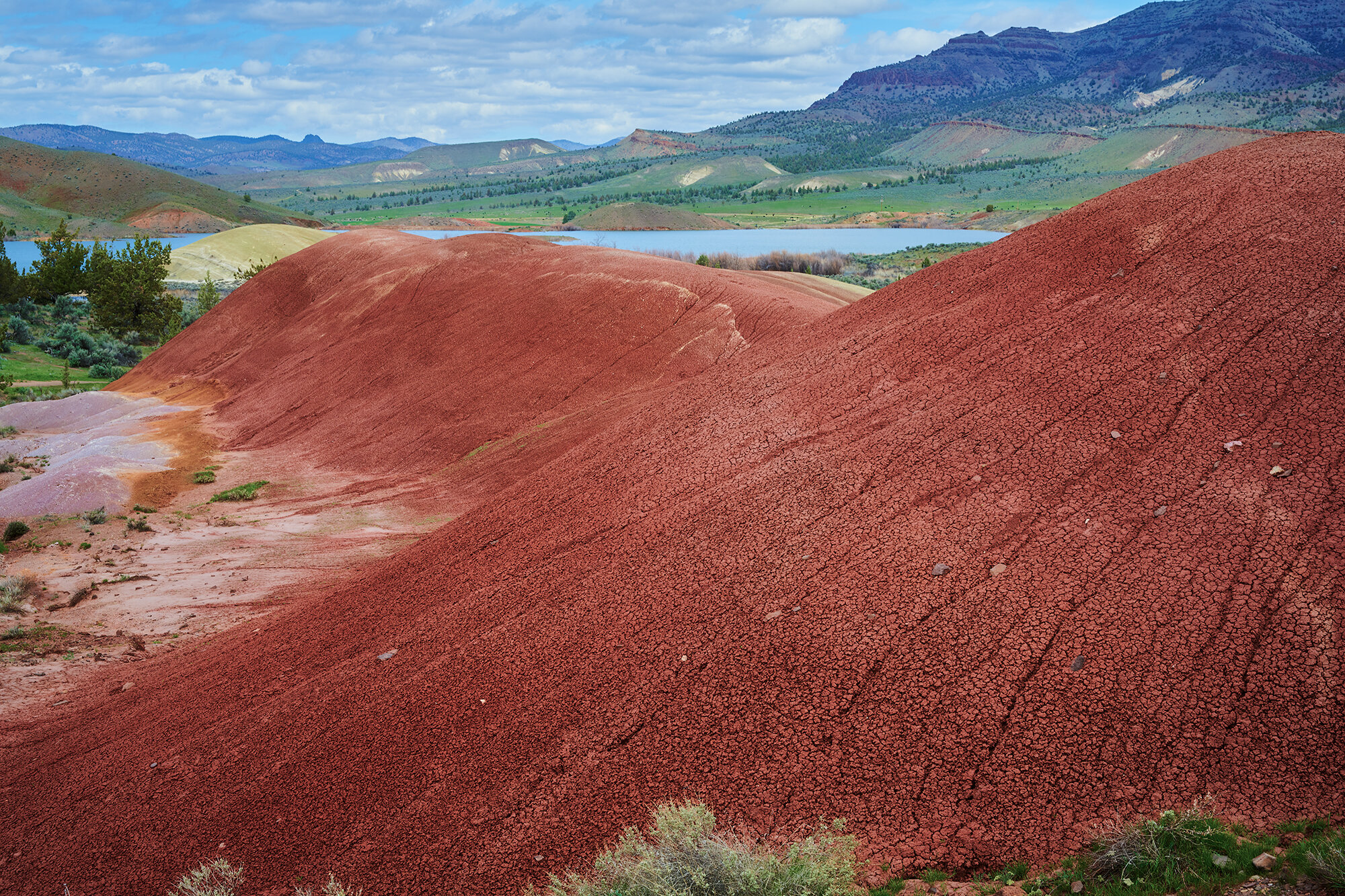 Artist's Paint Bucket, Painted Hills