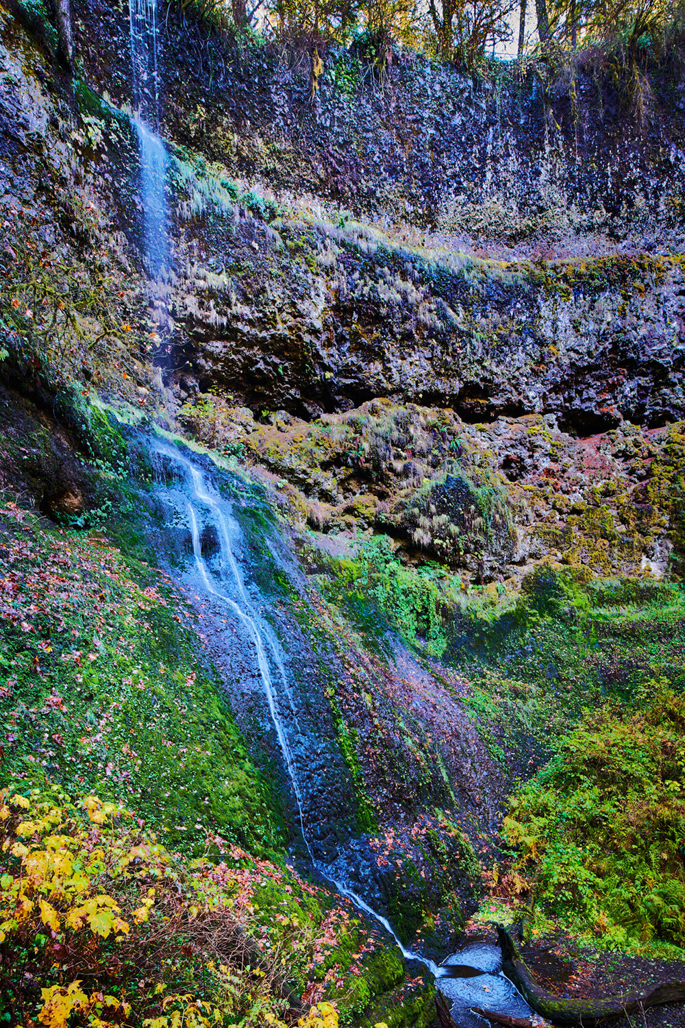 Winter Falls