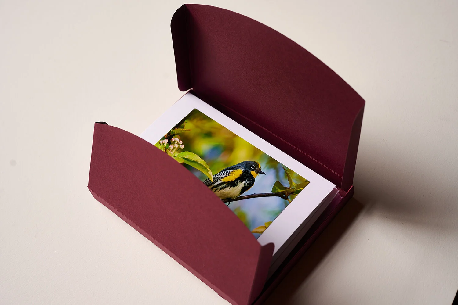 _DSC0232--Ssosngbirds-Card-PackDec-06-2020.jpg