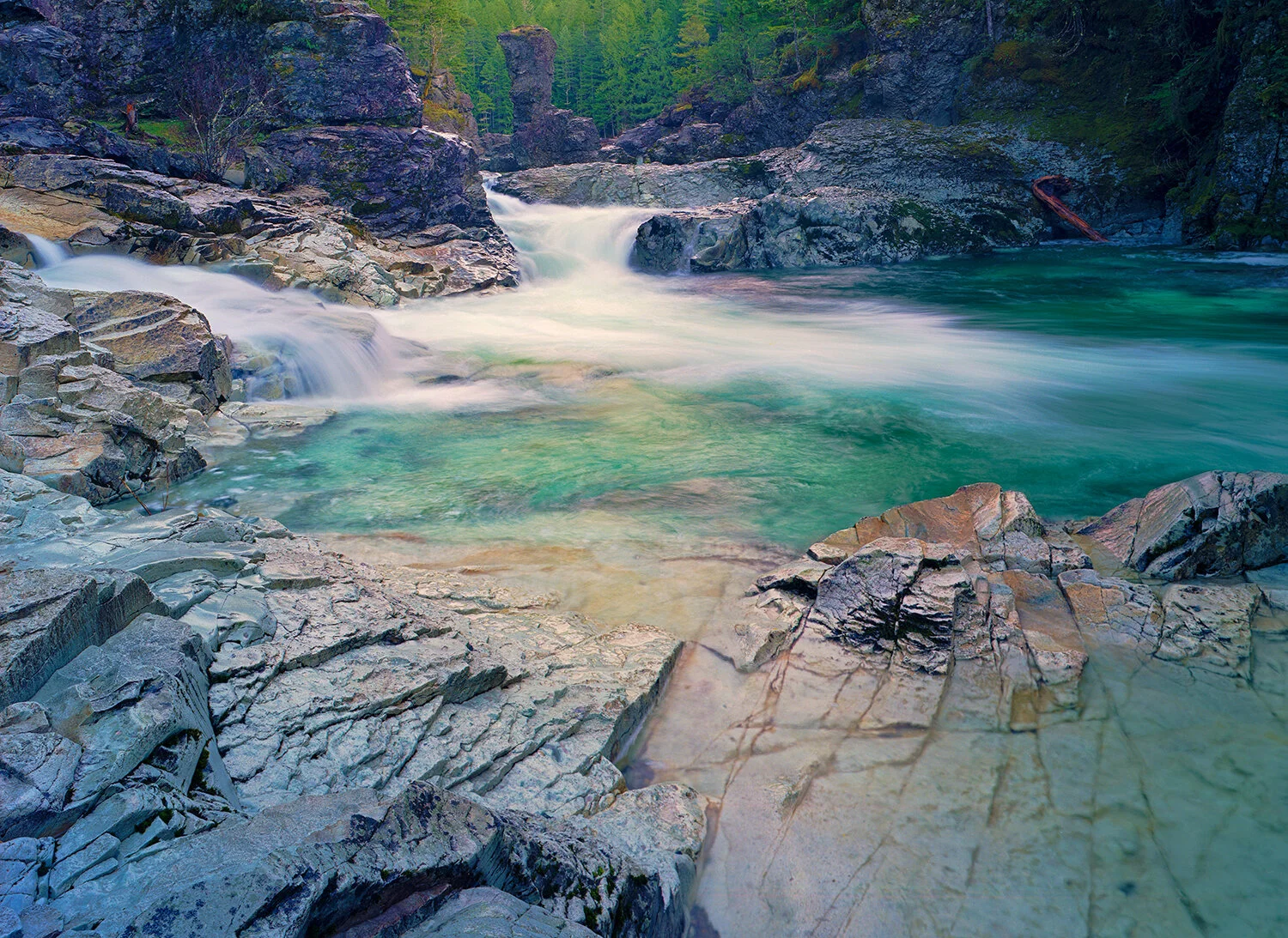 NorthForkSantiam3SF817x24.jpg