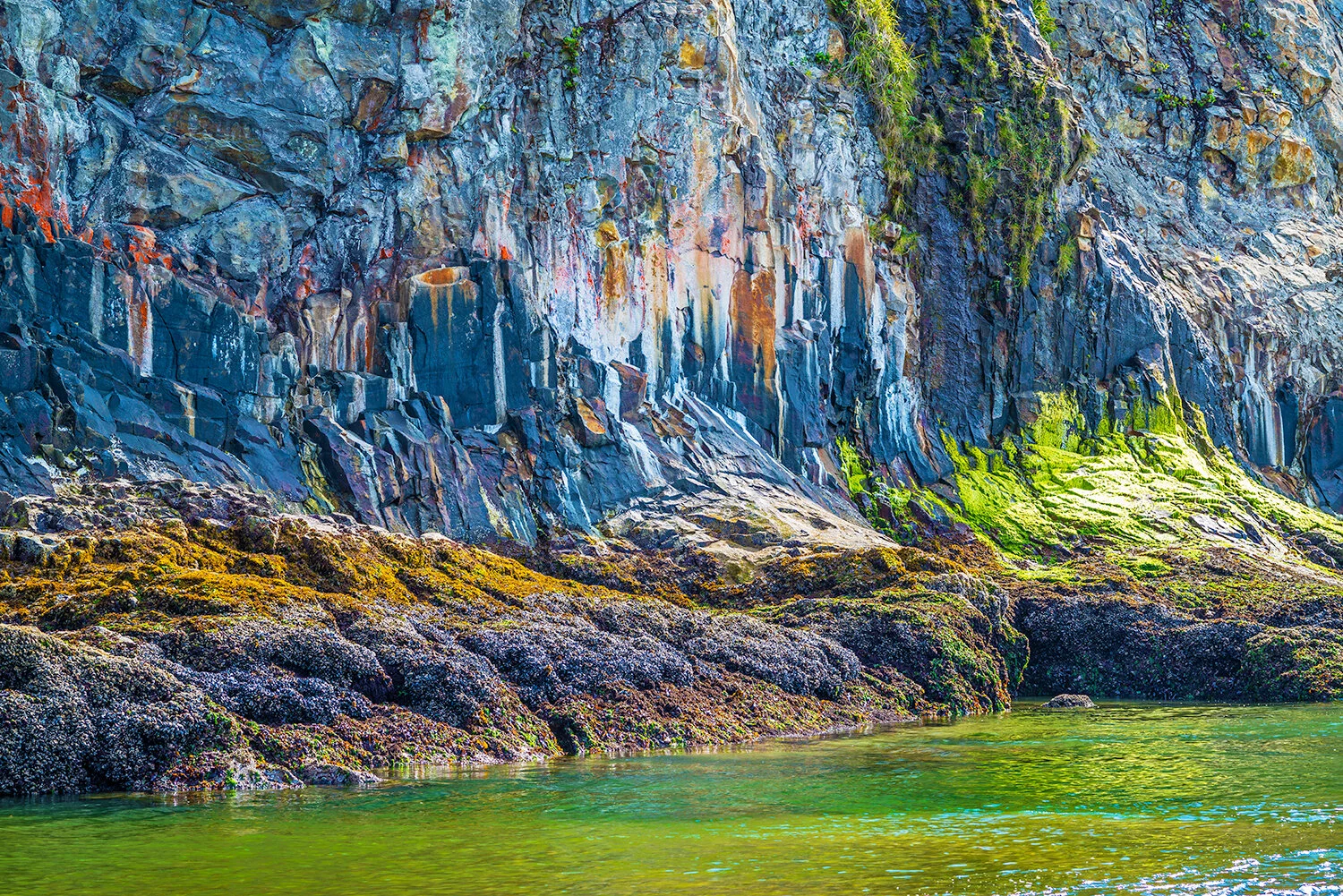 Tidal-Colors-Short-Sands_DSC1044-Edit.jpg