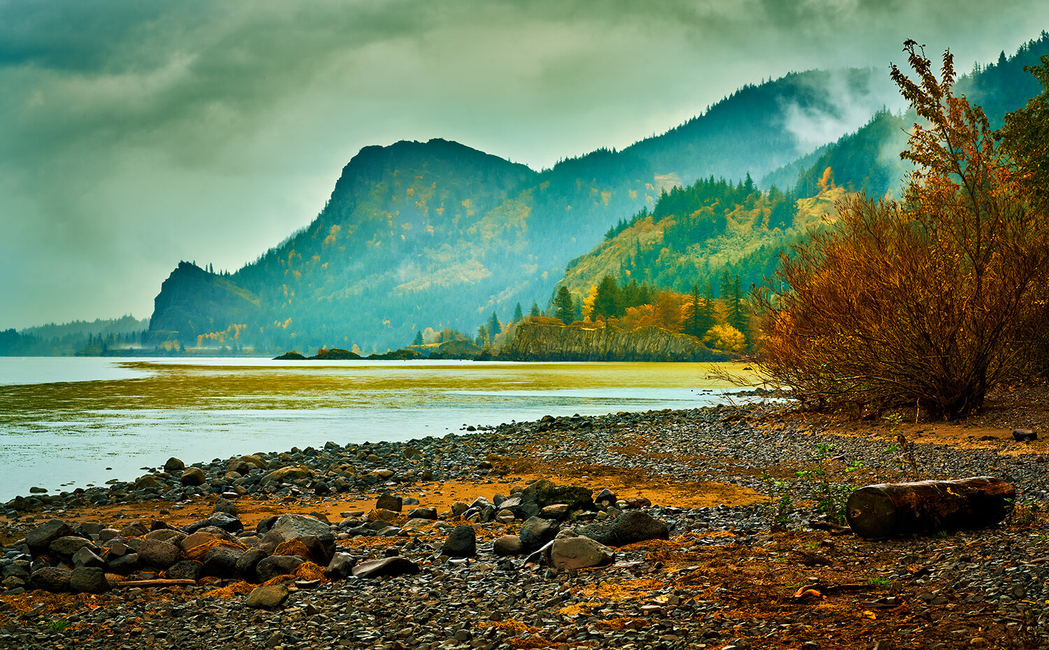 Columbia river from Viento Park