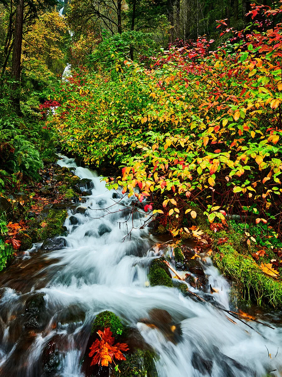 Wahkeena Falls early Autumn