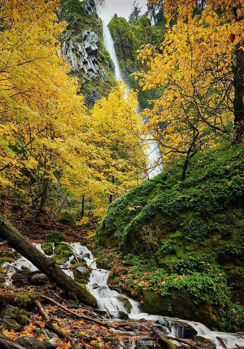 _DSC0146--Starvaation-Creek-FallsNov-06-2020.jpg