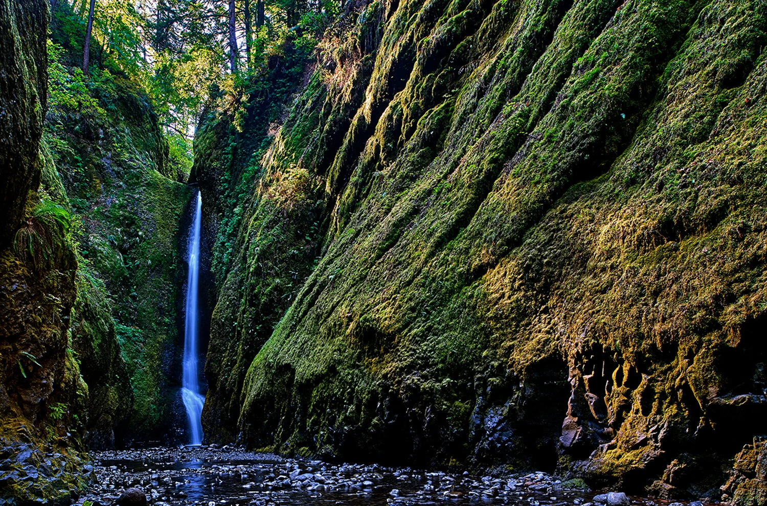 _DSC6680--Oneonta-Gorge-Crop-Sep-12-2015.jpg