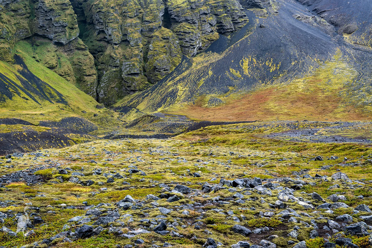 Icelandic Landscape