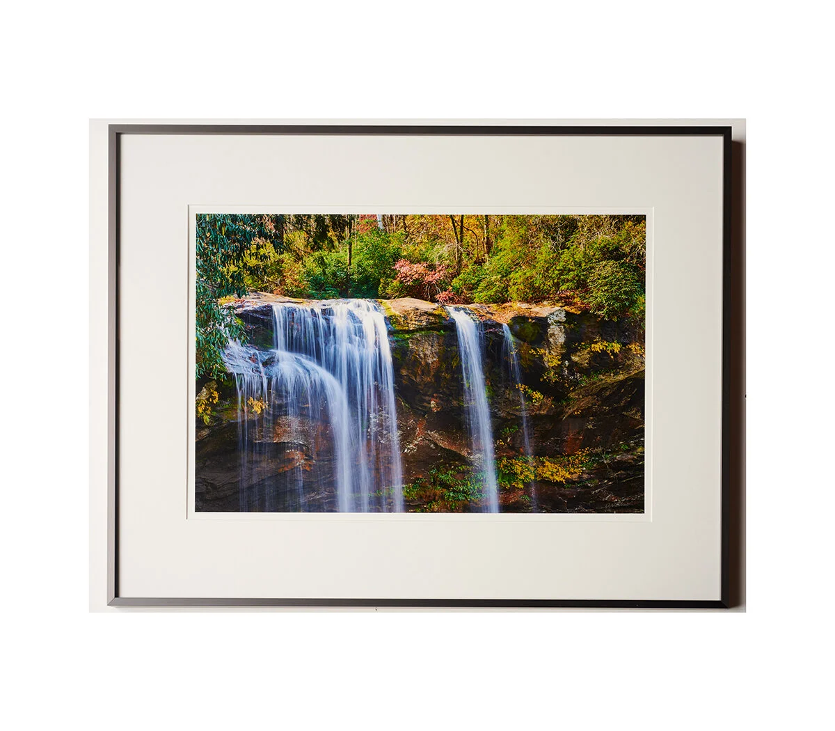 Fine Art Prints
