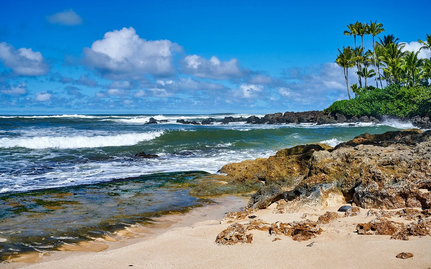 Oahu Shores