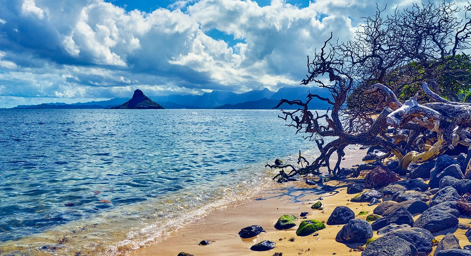 Oahu Shores 