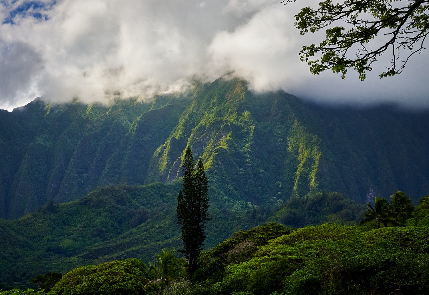 Kaneohe Bay