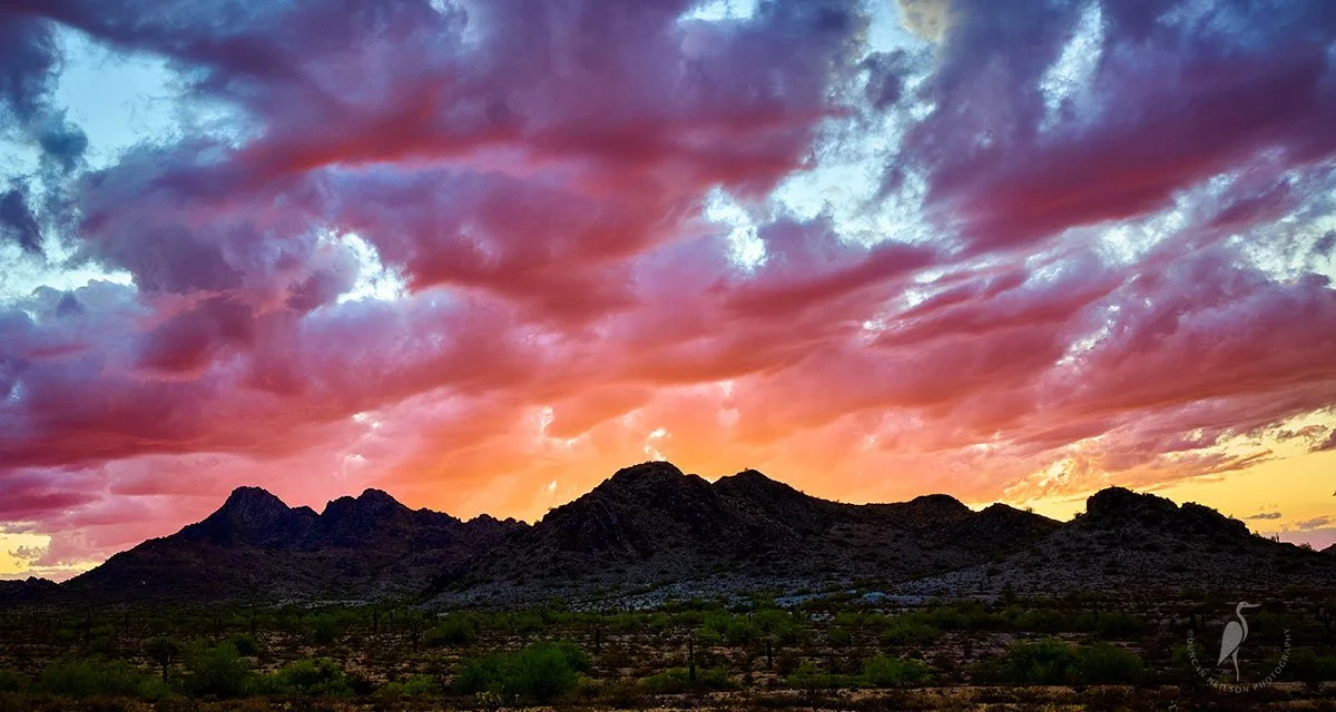 Phoenix, Arizona in autumn