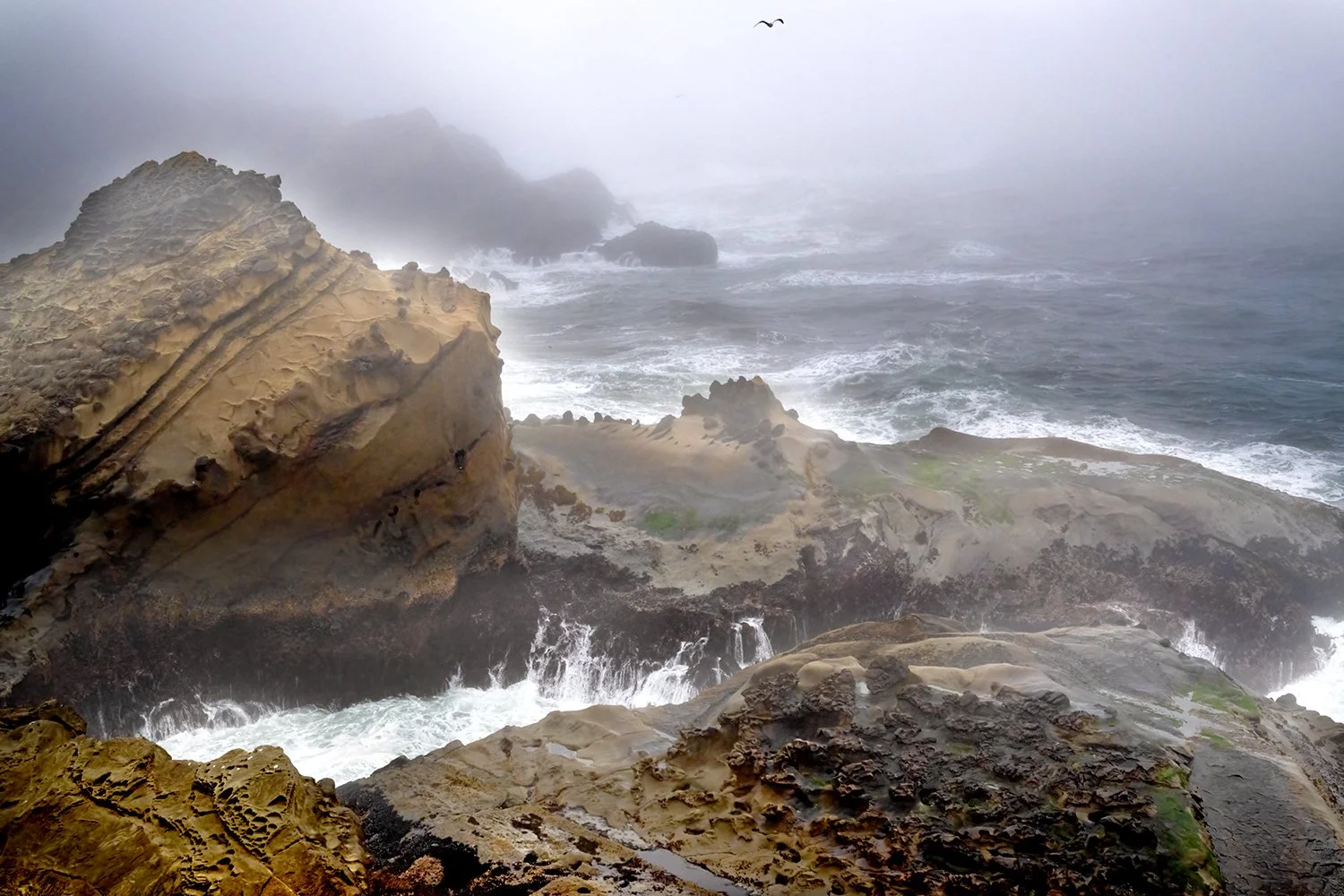 Shore Acres Cliffs, stormy sea