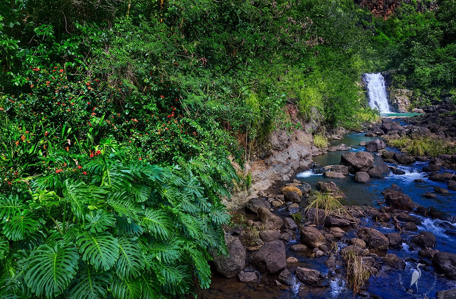 Waimea Falls in Oahu, Hawaii, in a forest setting at the end of the Waimea Trail