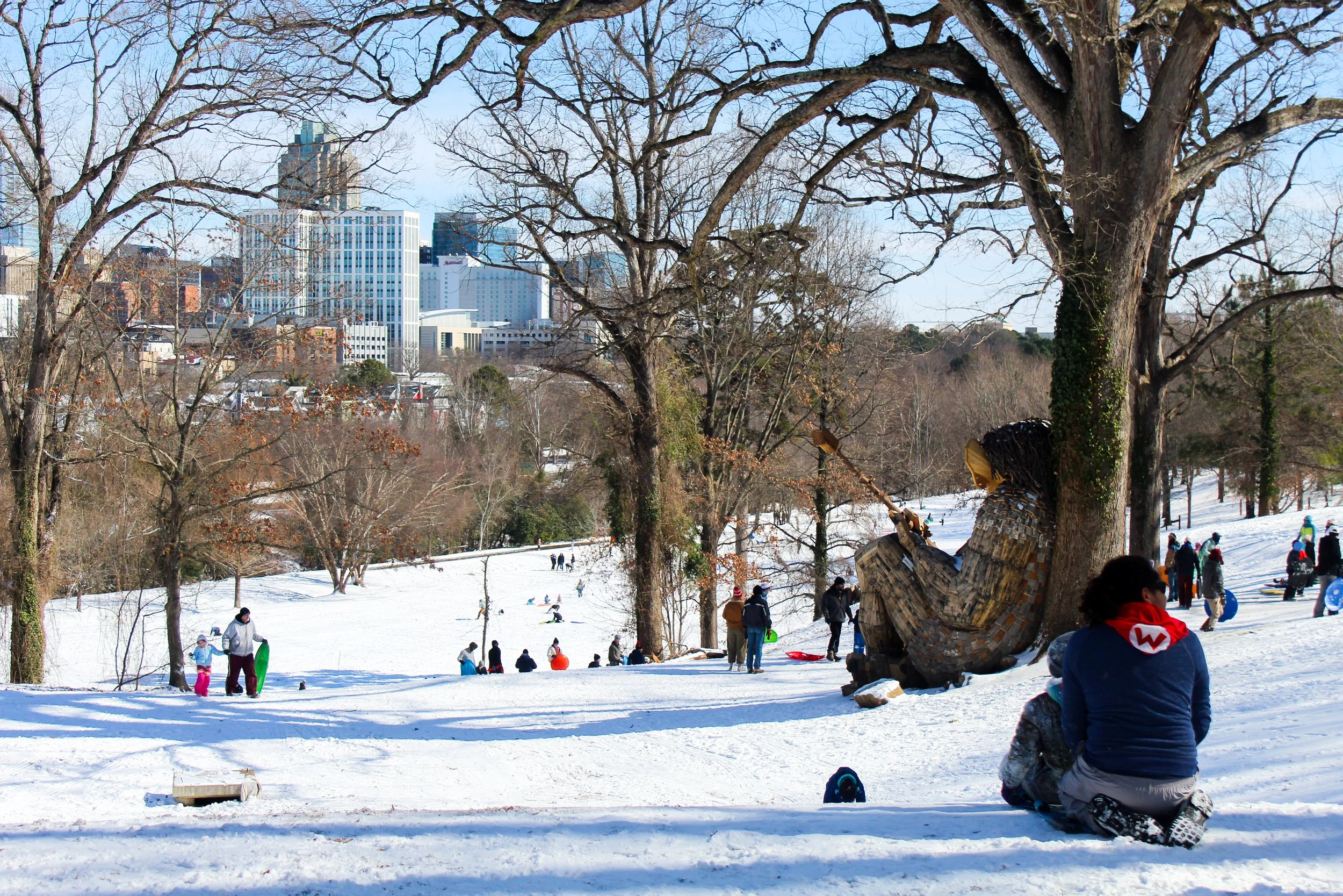 Snow day in Raleigh #2