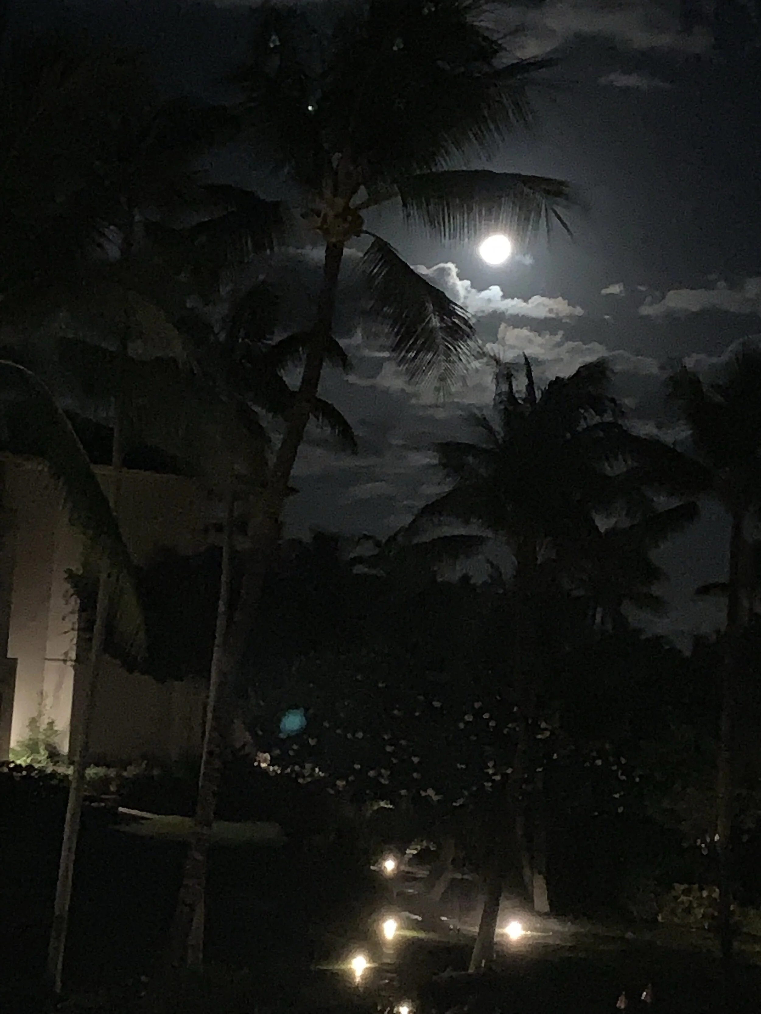 The complement to the sun.  The moon with it's own message