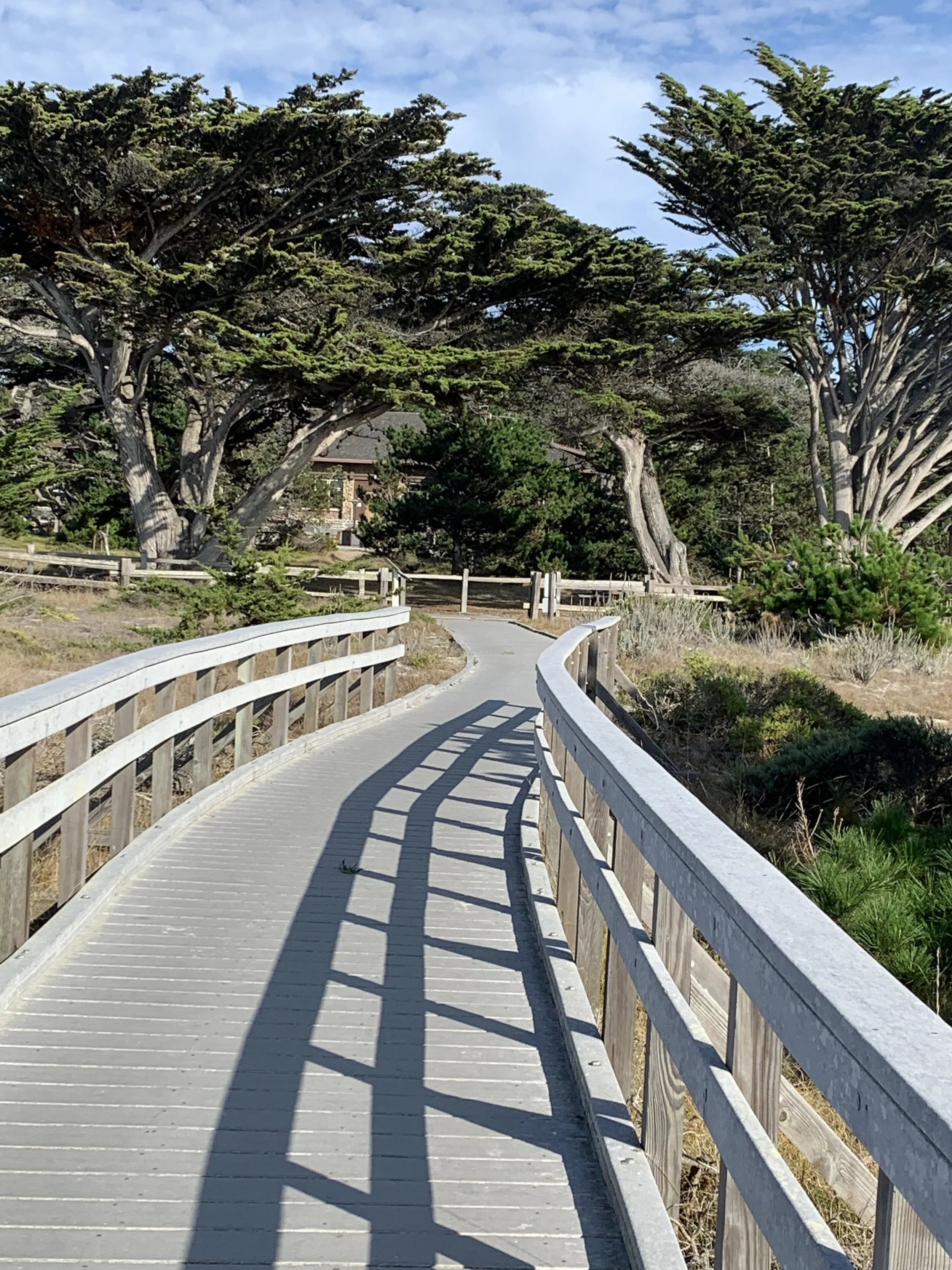 This walkway, so memorable