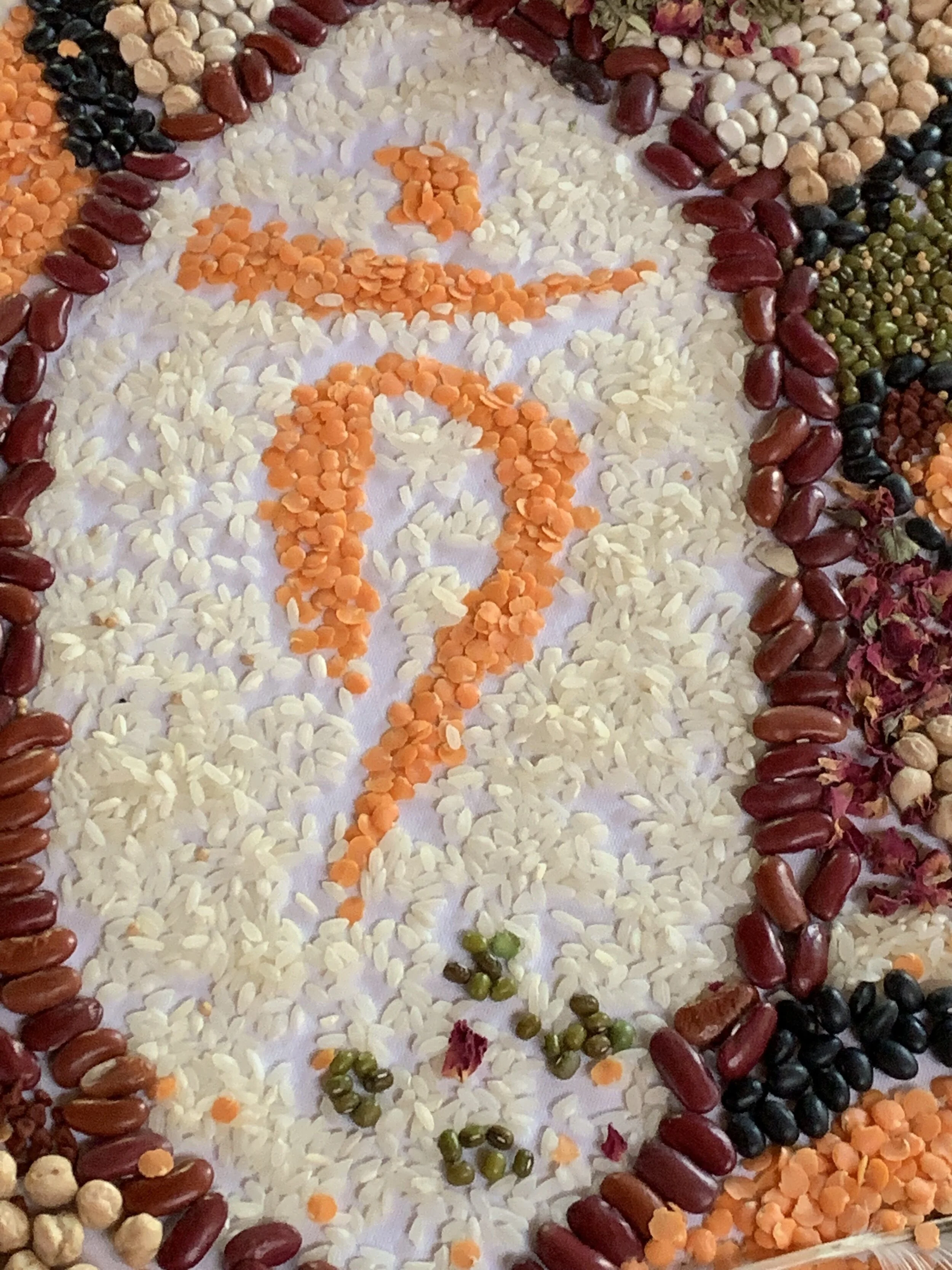 Rice, and lentils, and beans, and seeds, who knew? :) 