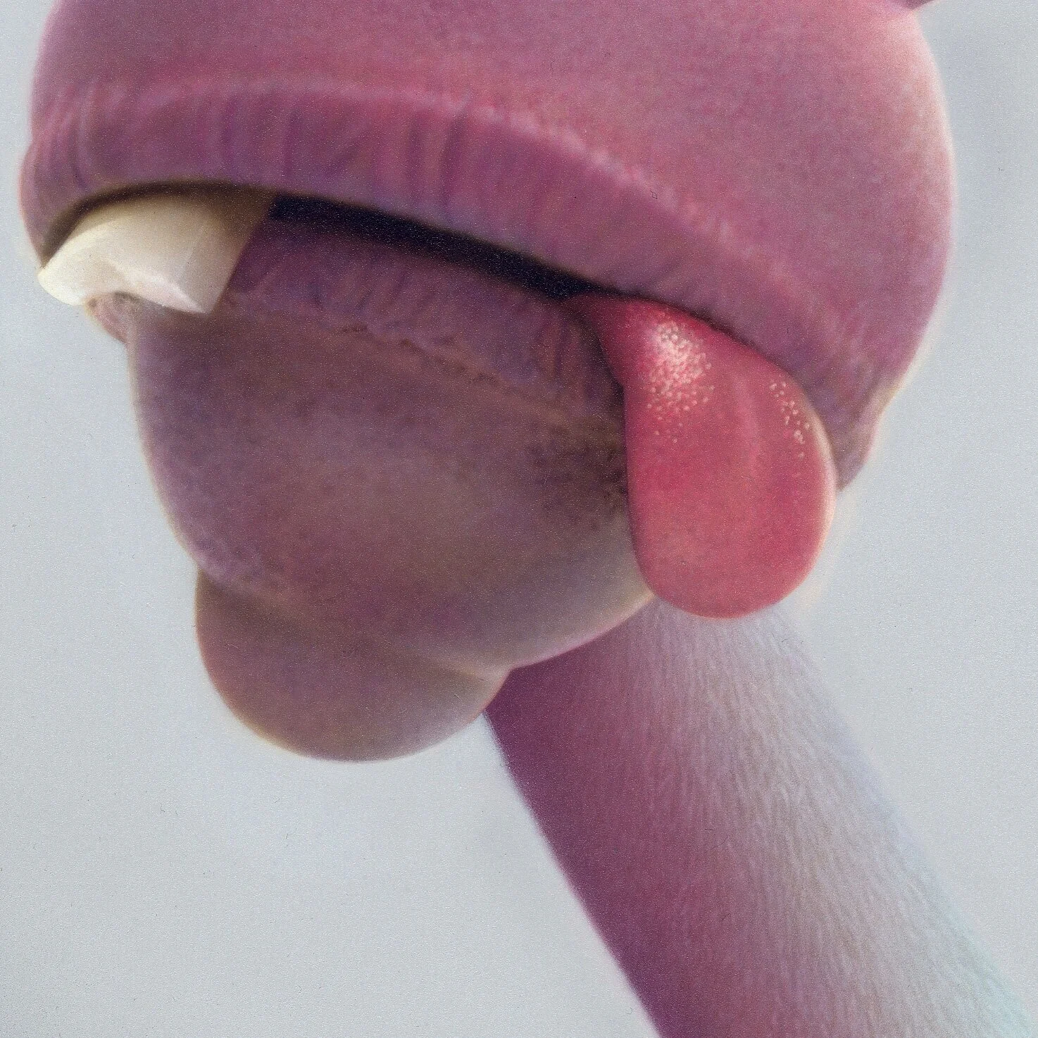 Detail 2.