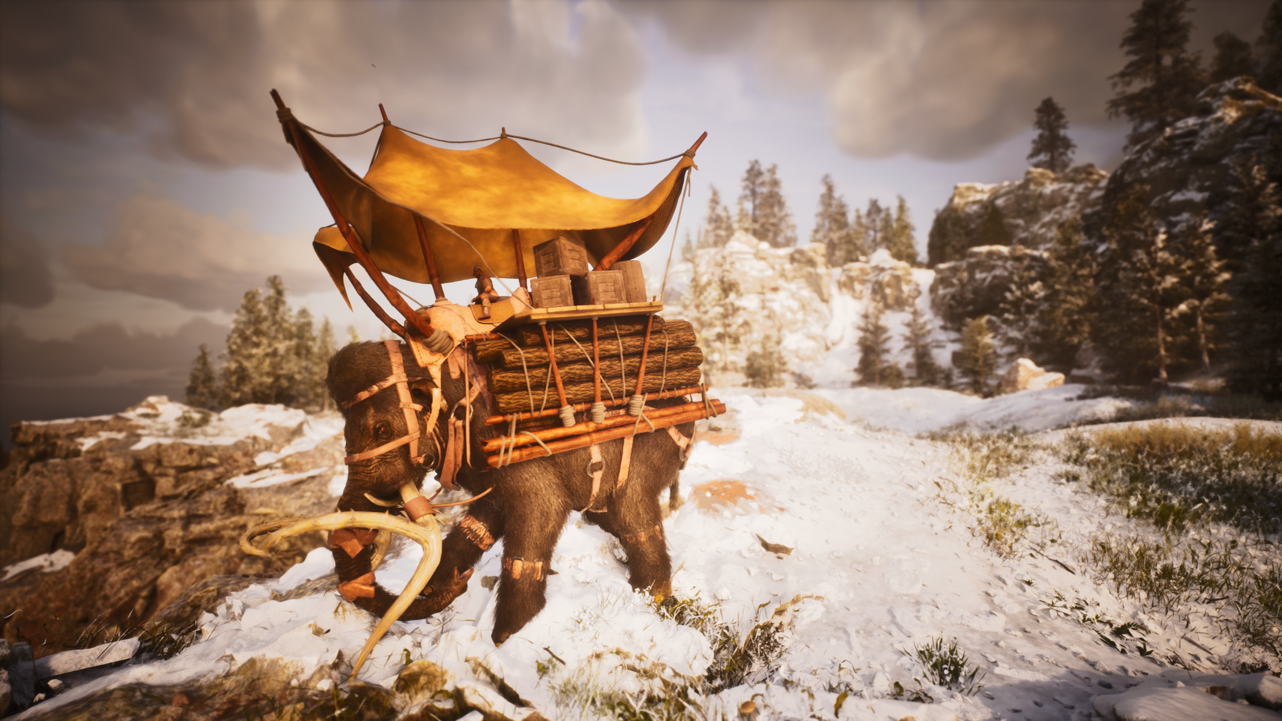 Tribal Mammoth Canopy Saddle (31).png