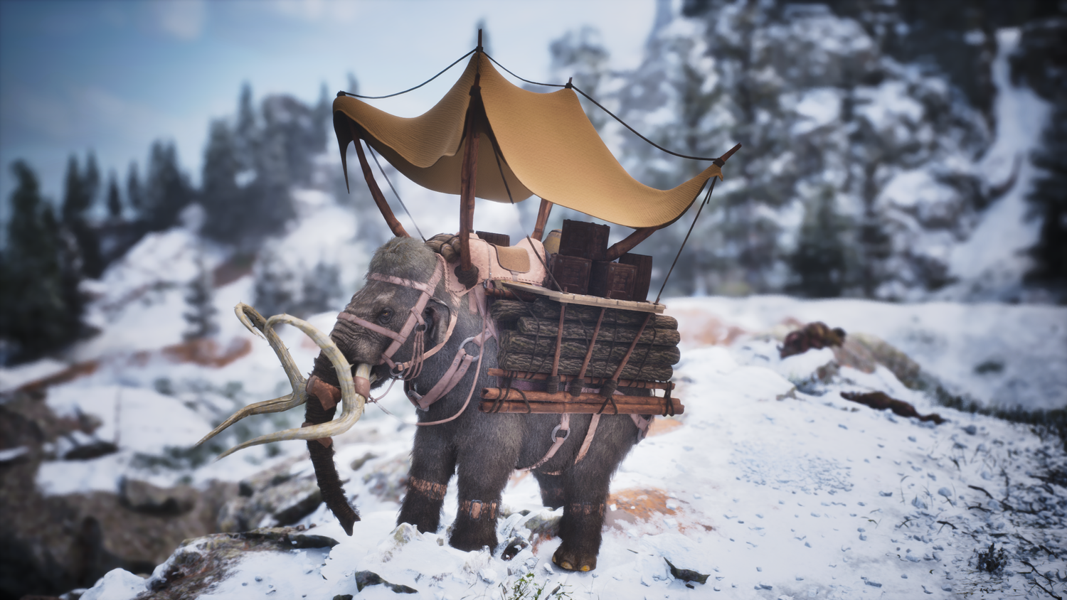 Tribal Mammoth Canopy Saddle