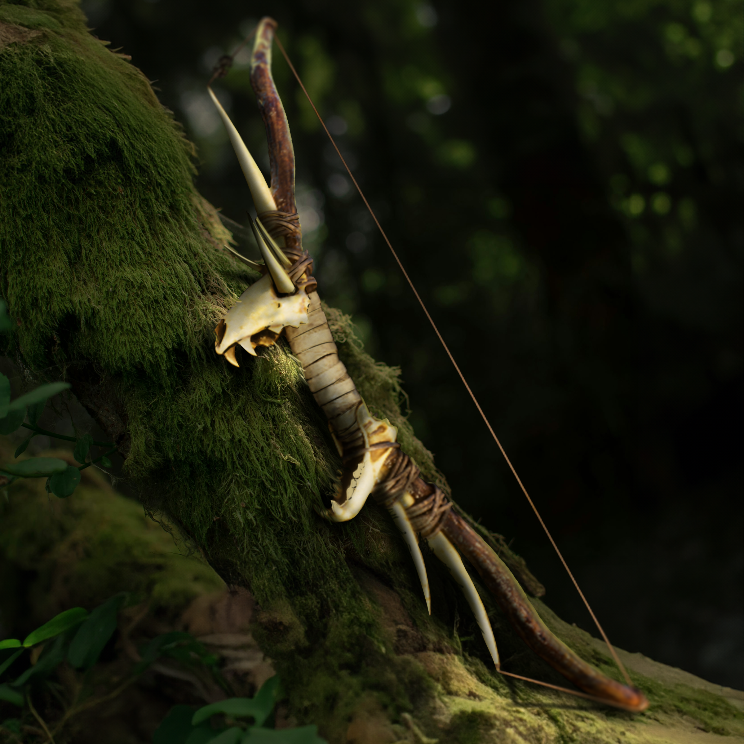 Bow_on_Tree.png