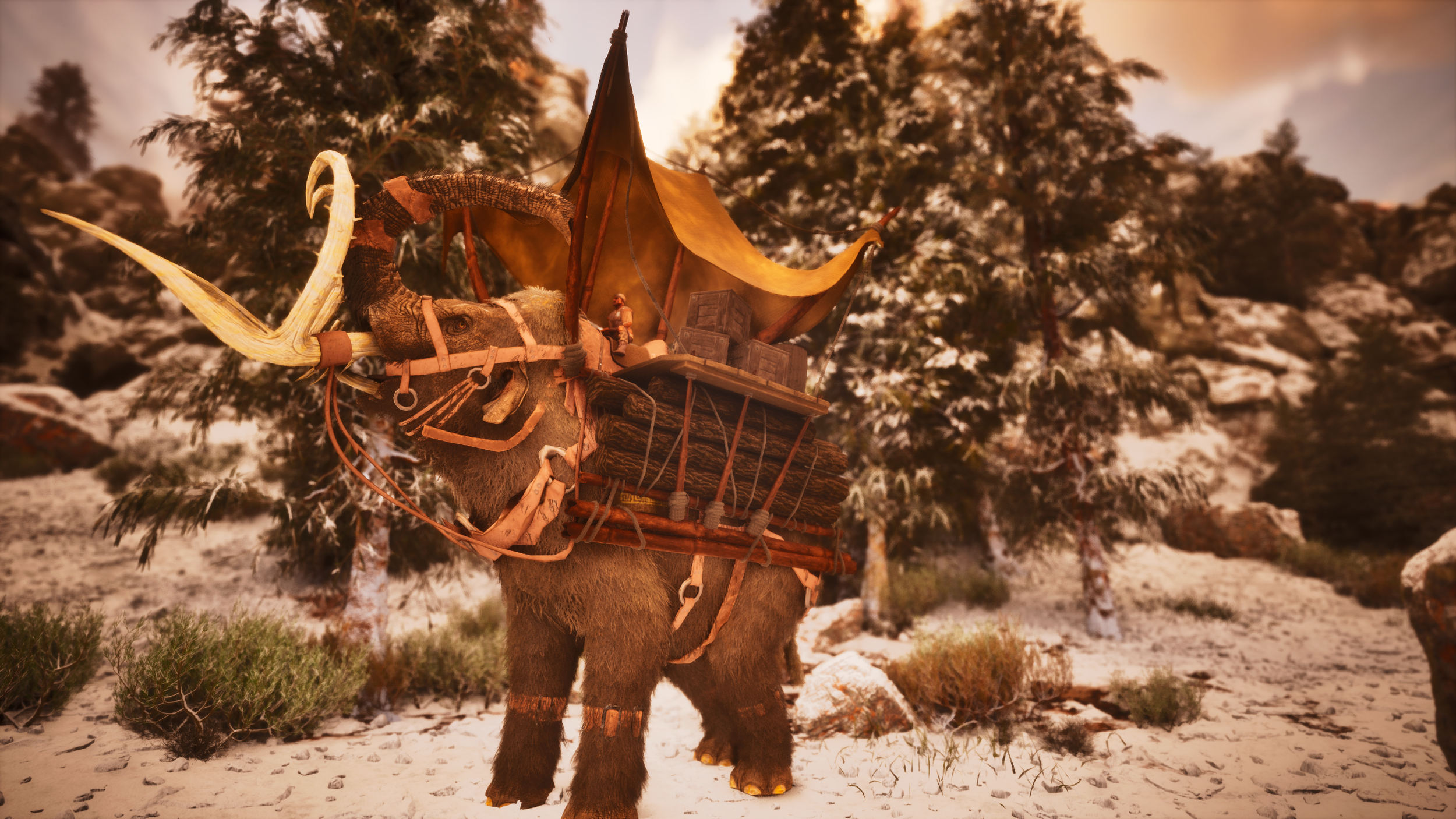 Tribal Mammoth Canopy Saddle (34).png