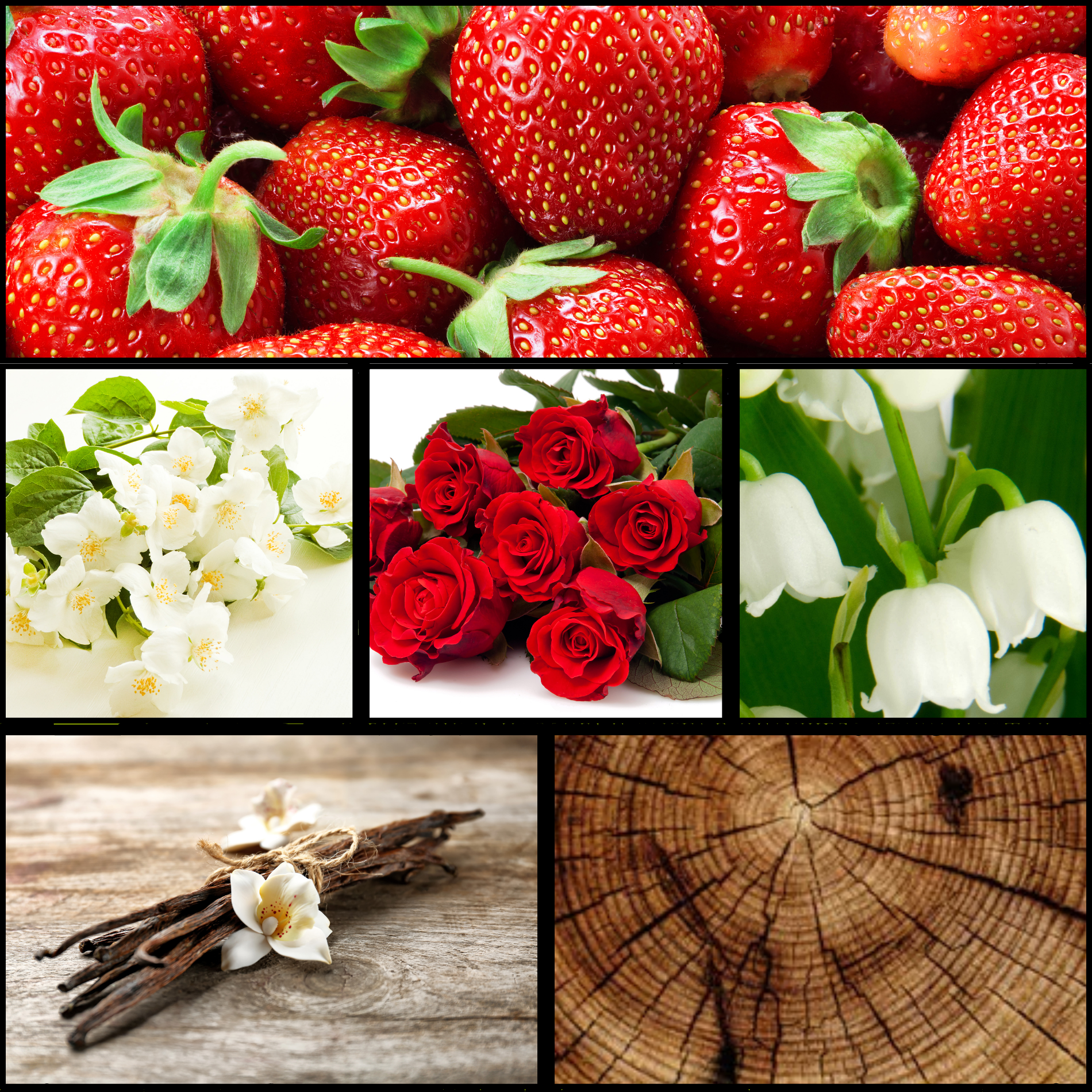 Untitled design (17).png