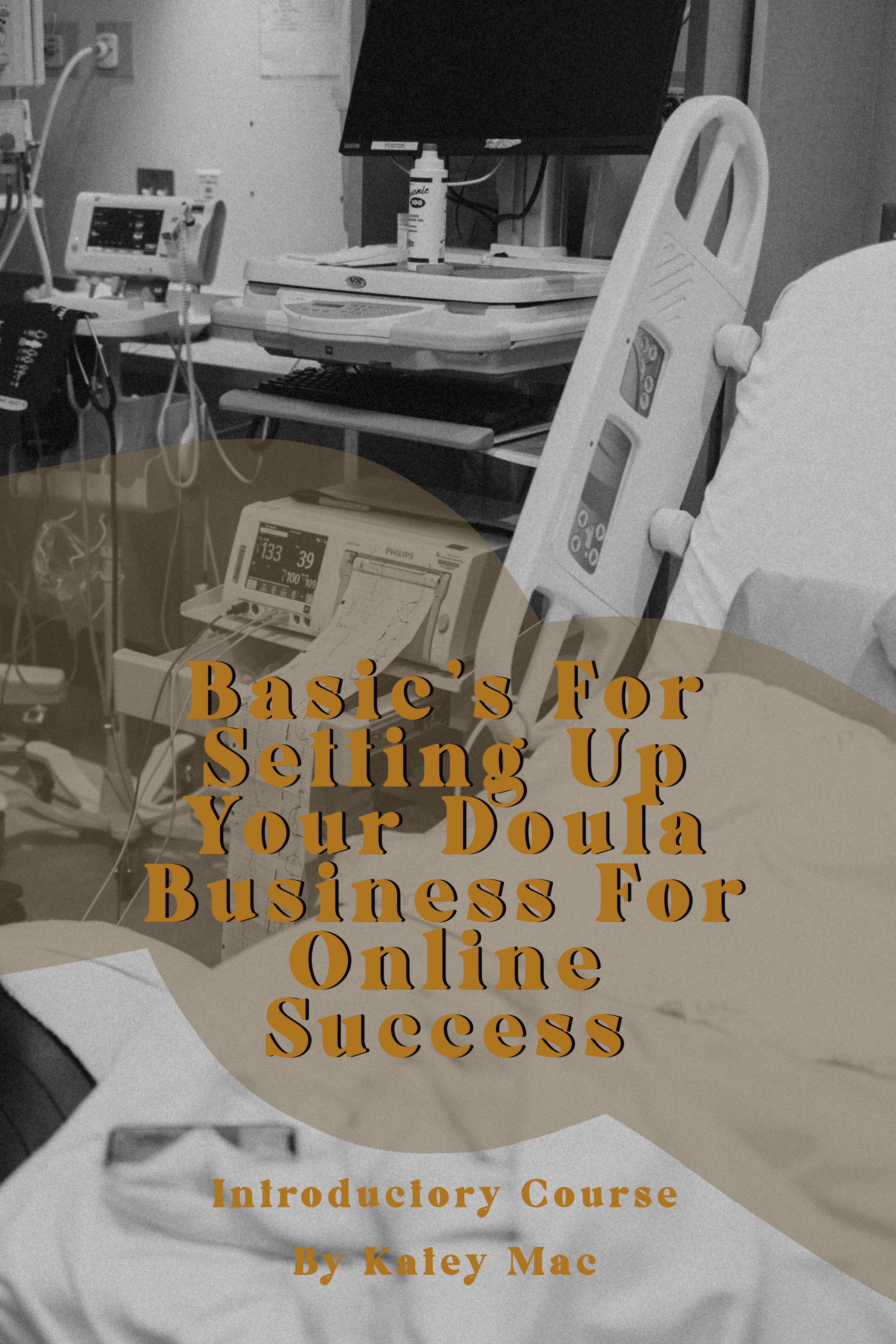 Basic's For Setting Up Your Doula Business For Online Success - Course 1