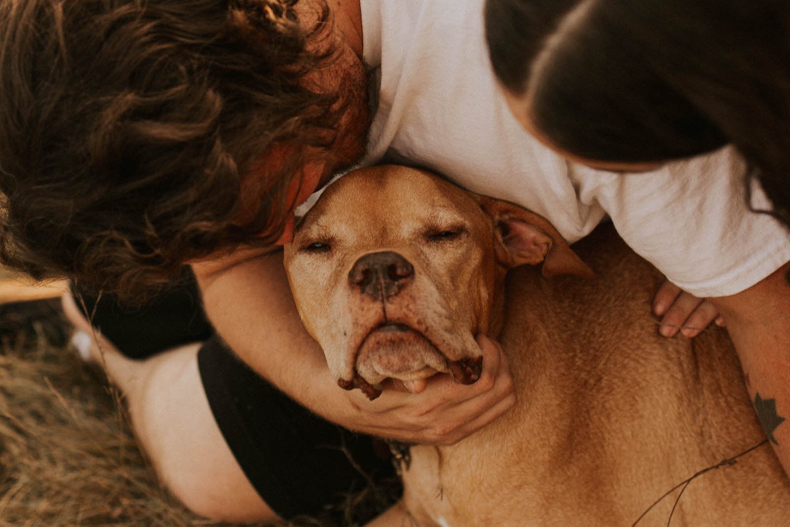 pet-photographer-vancouver