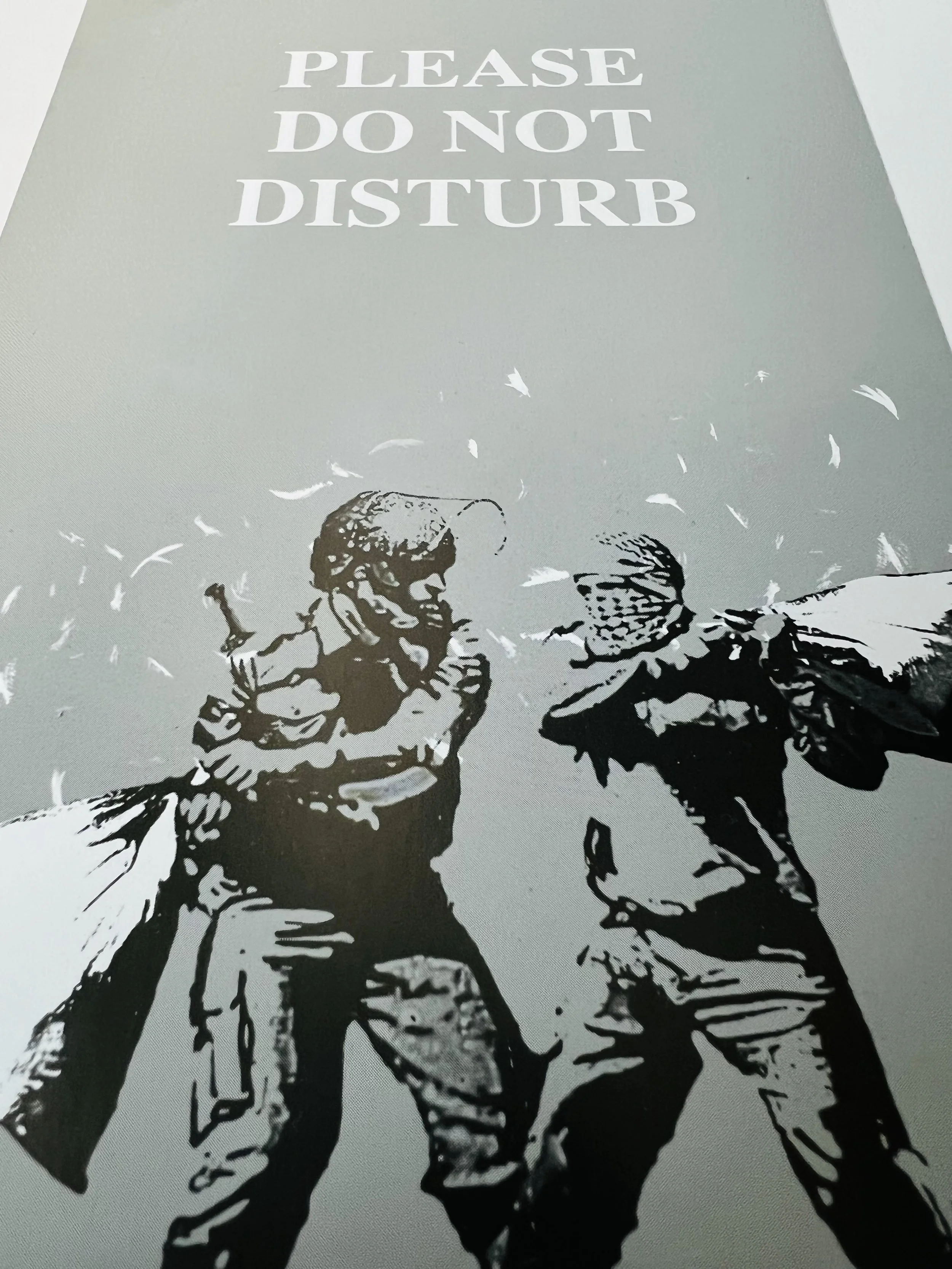 Pillow Fighters Room Door Hanger from The Walled off Hotel