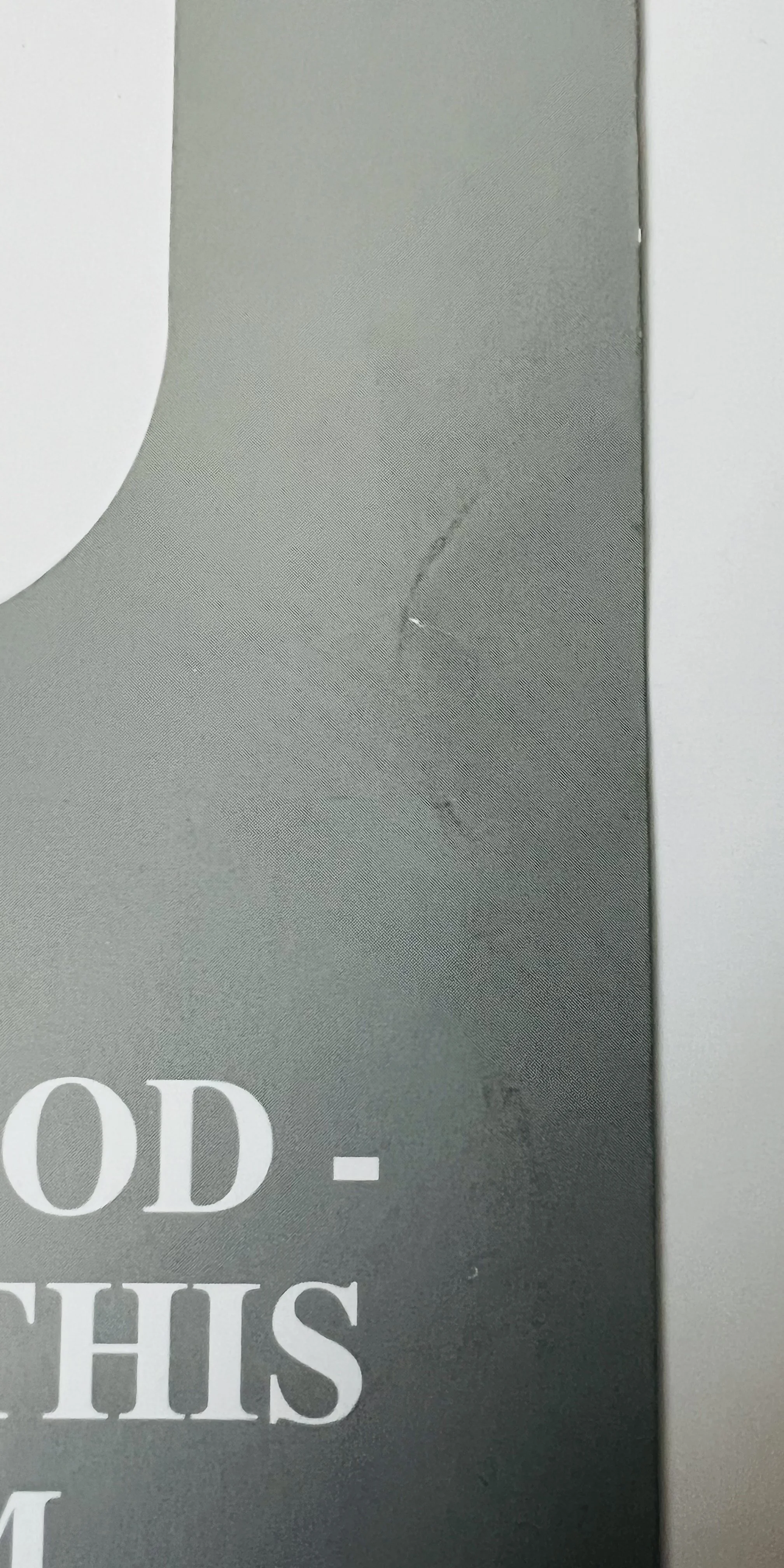 image_50349825 (1).JPG