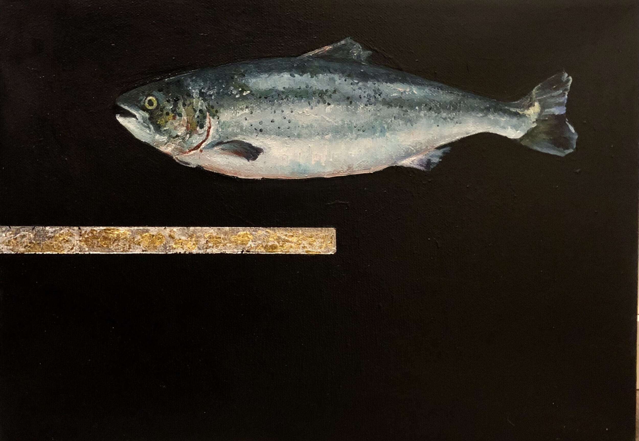 Salmon