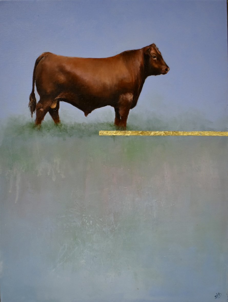 Red Limousin on Gold 30cm x 40cm