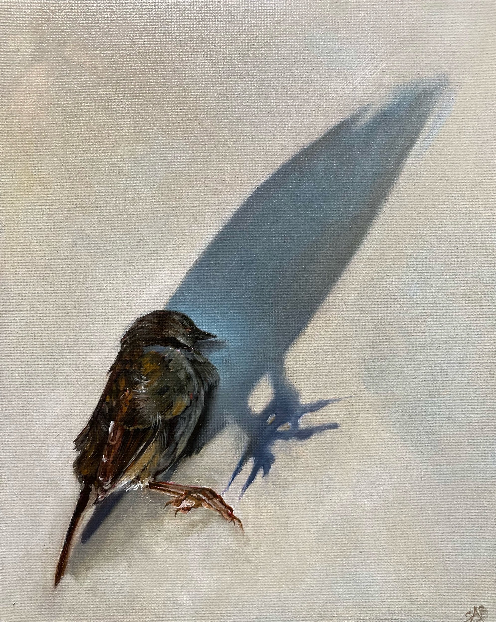 Long Shadow